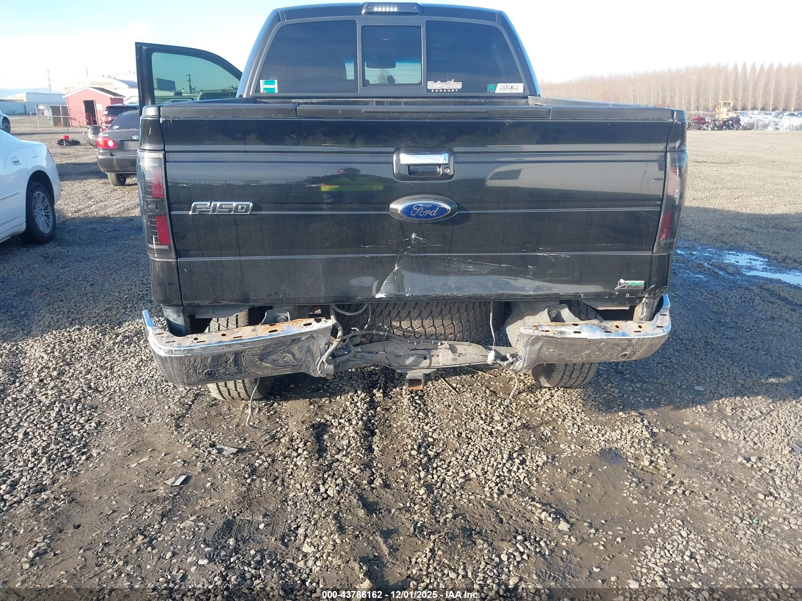 FORD F-150 image 6