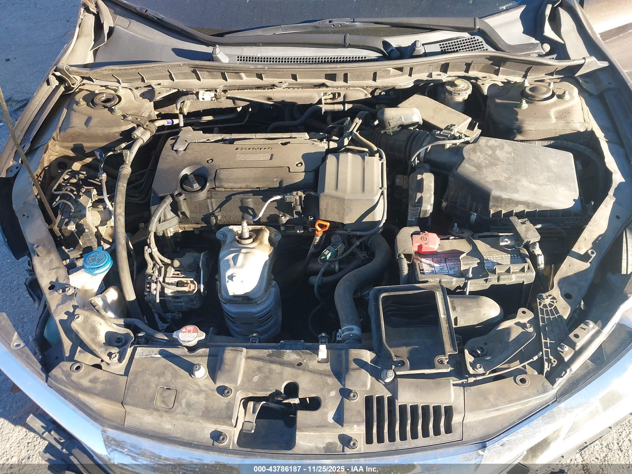 HONDA ACCORD image 10