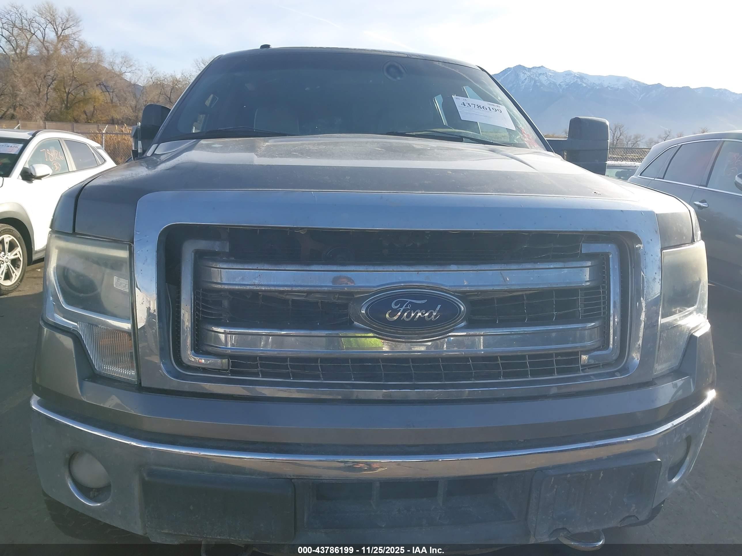 FORD F-150 image 6