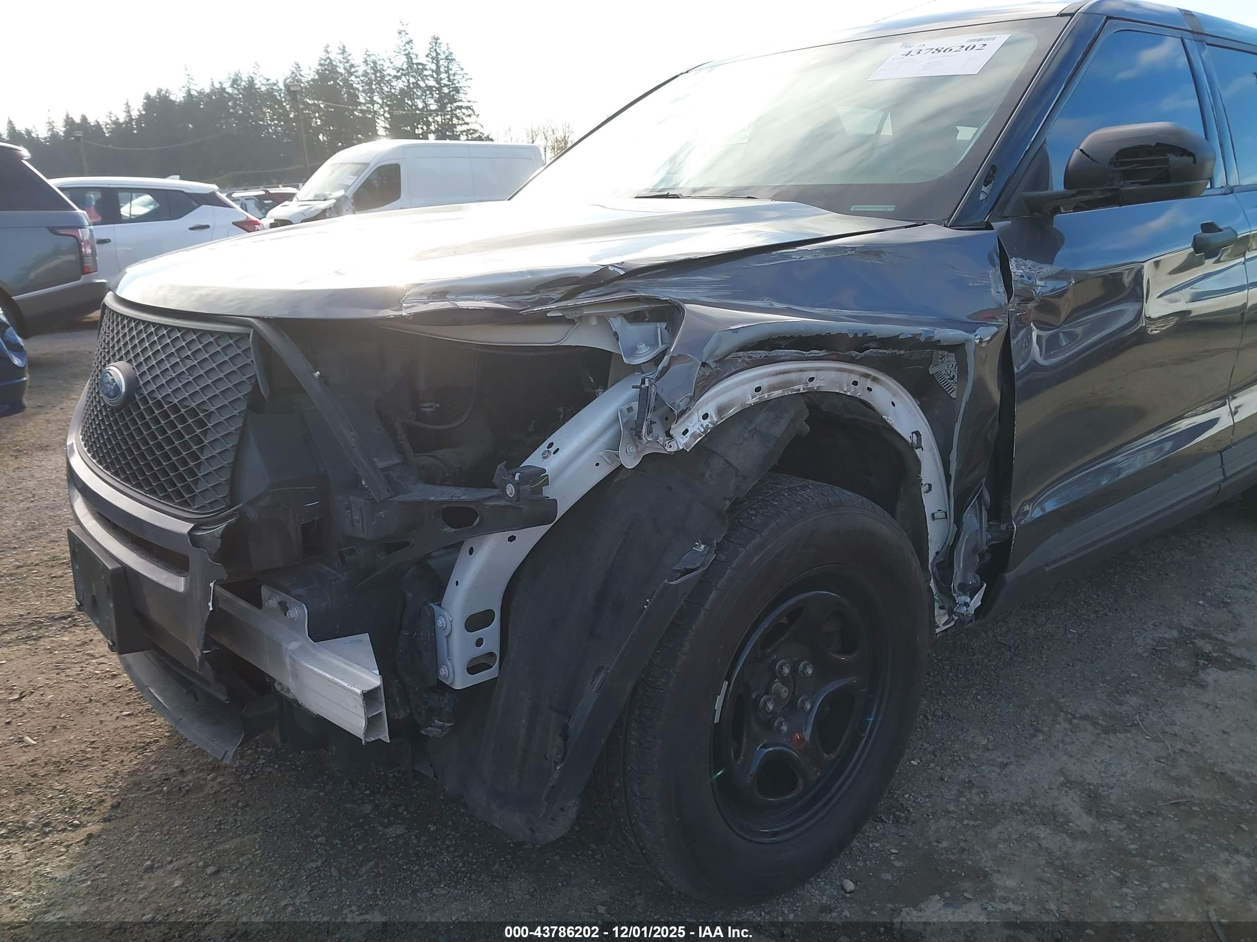 FORD POLICE image 6