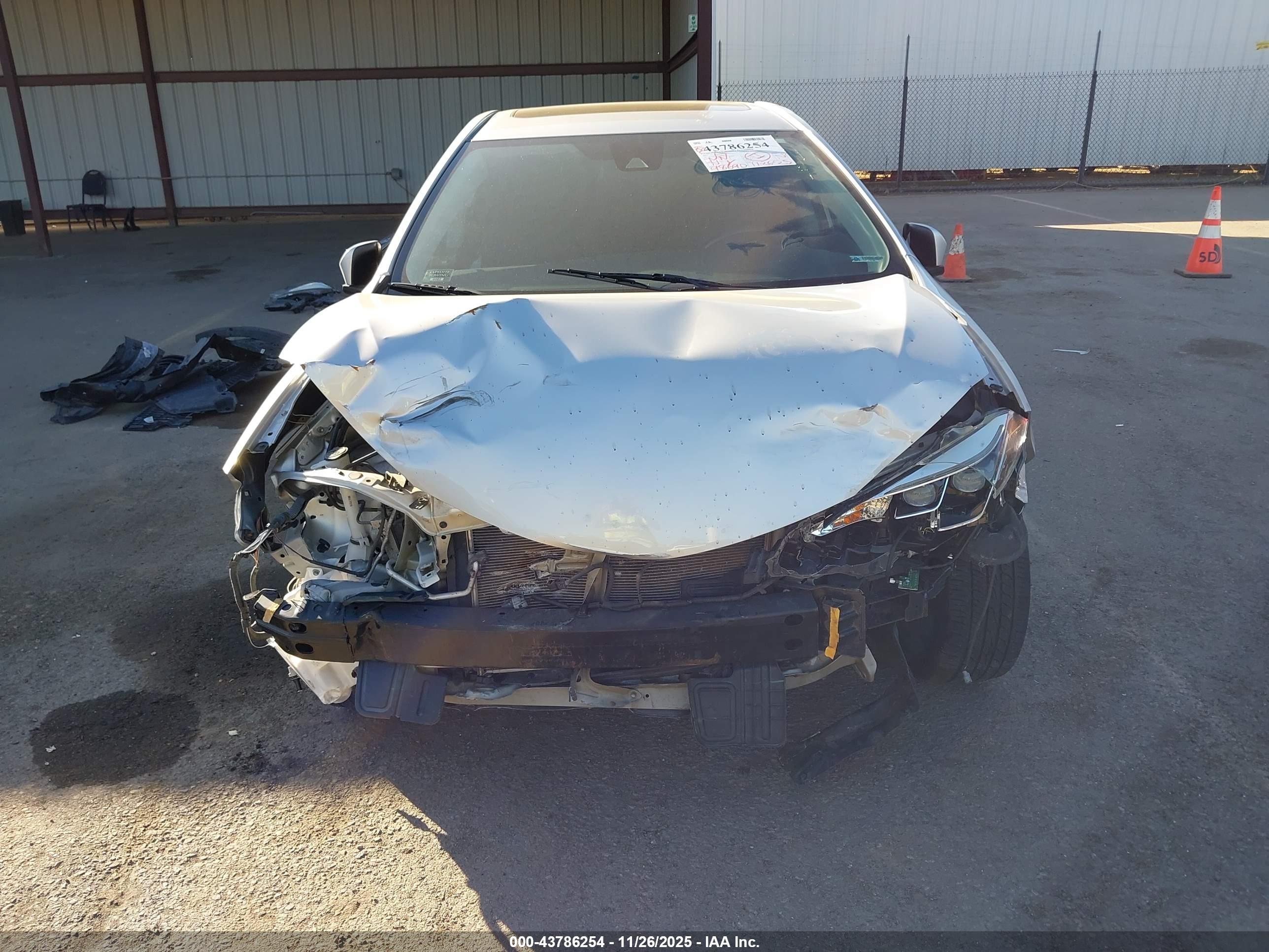 TOYOTA COROLLA image 6