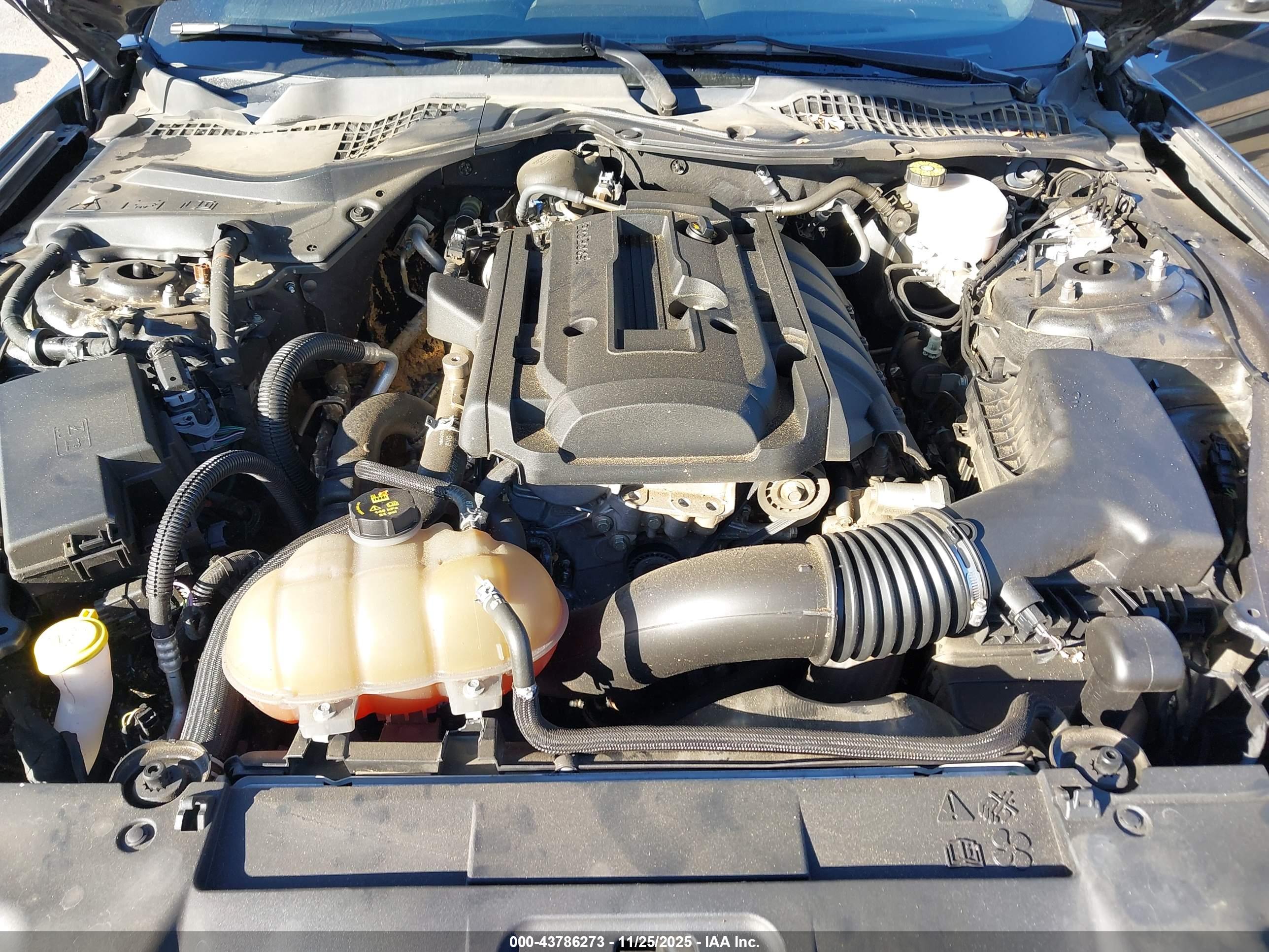 FORD MUSTANG image 10