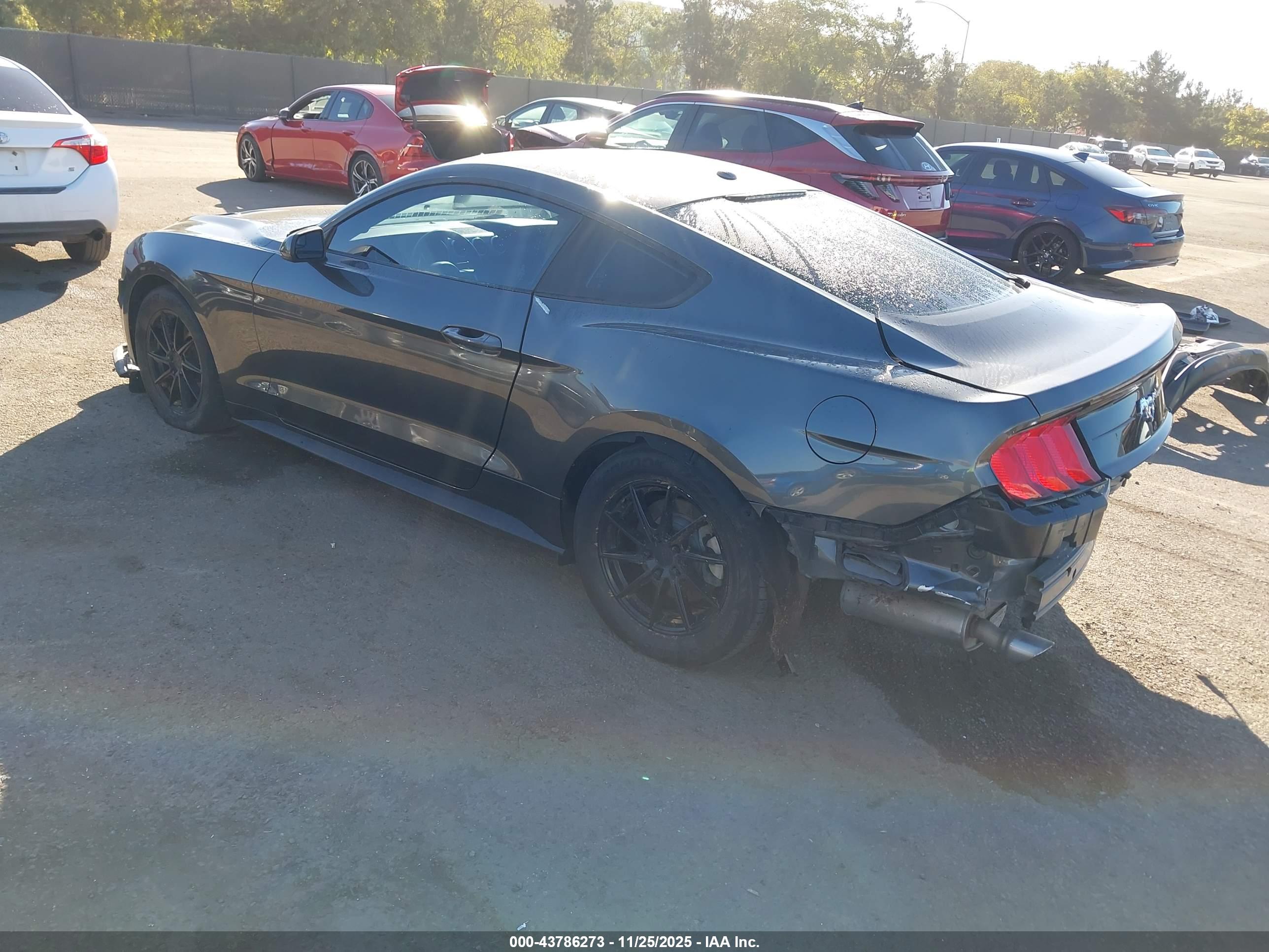 FORD MUSTANG image 3