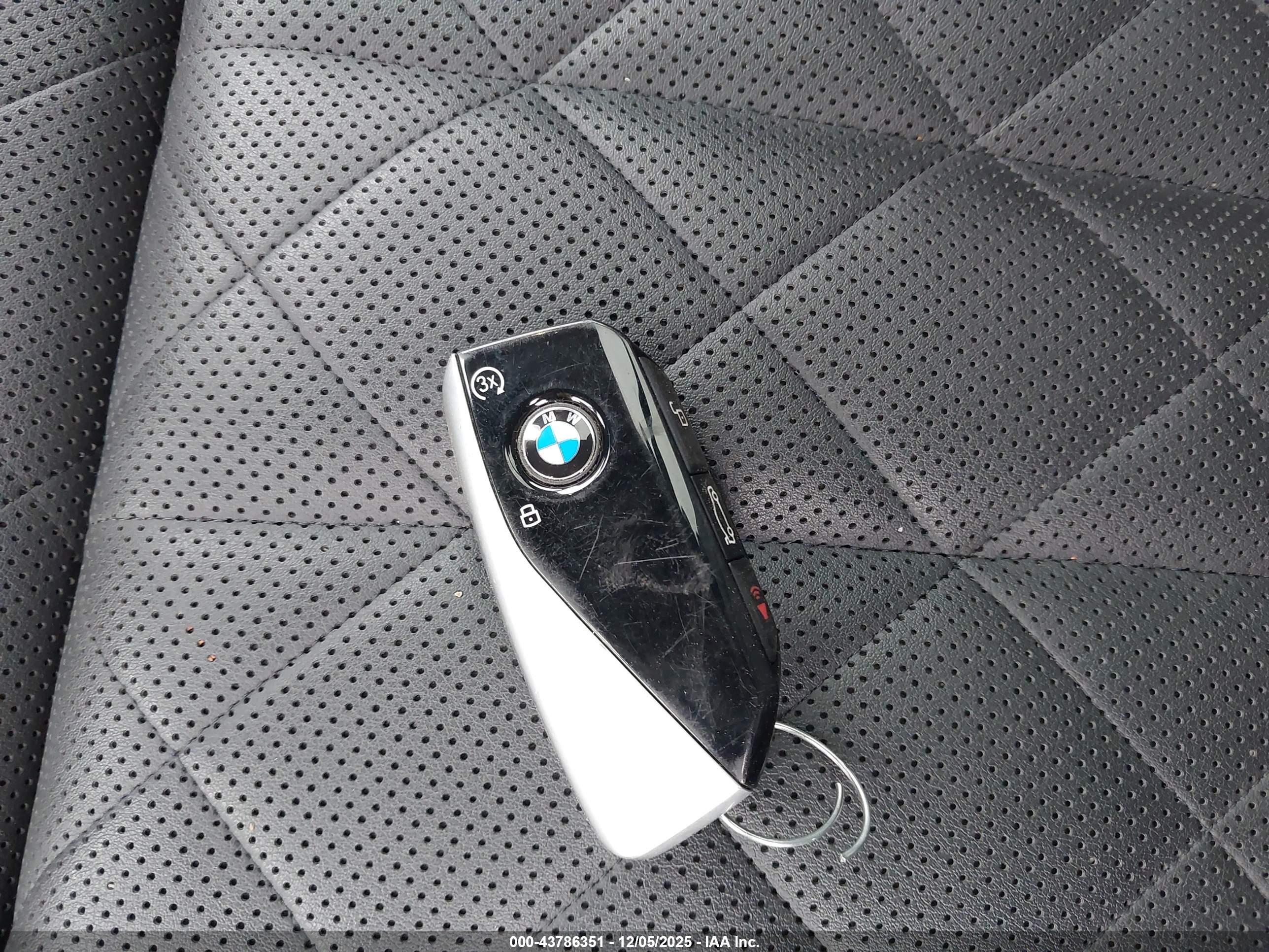 BMW X7 image 11