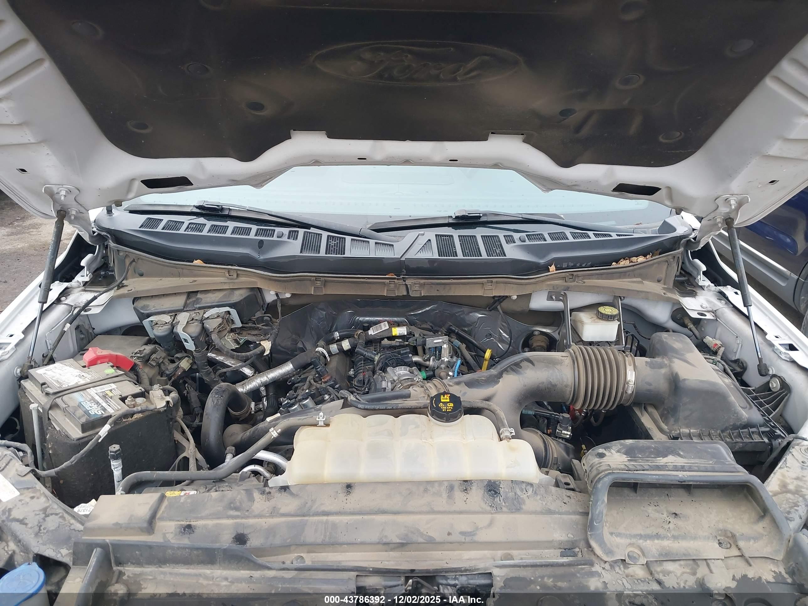 FORD F-150 image 10