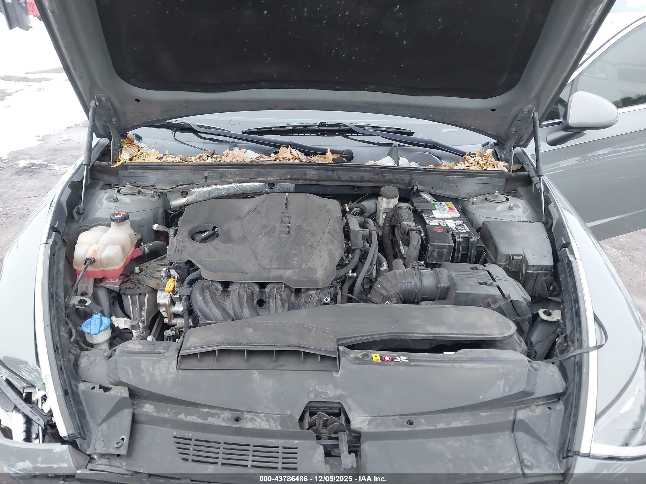 HYUNDAI SONATA image 10