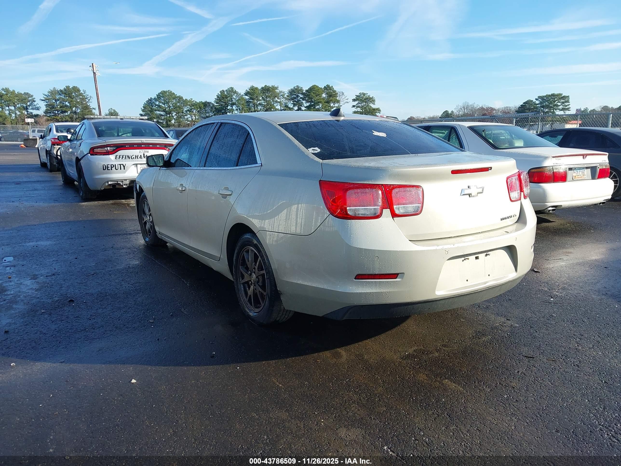 CHEVROLET MALIBU image 3