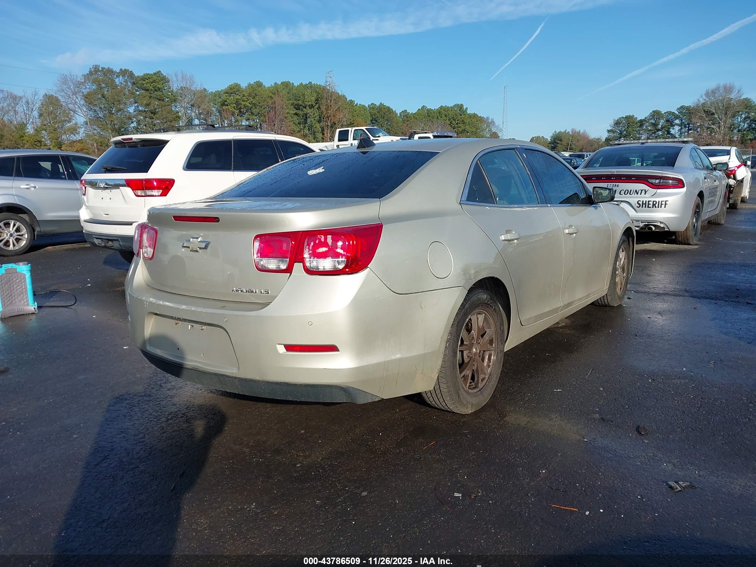 CHEVROLET MALIBU image 4