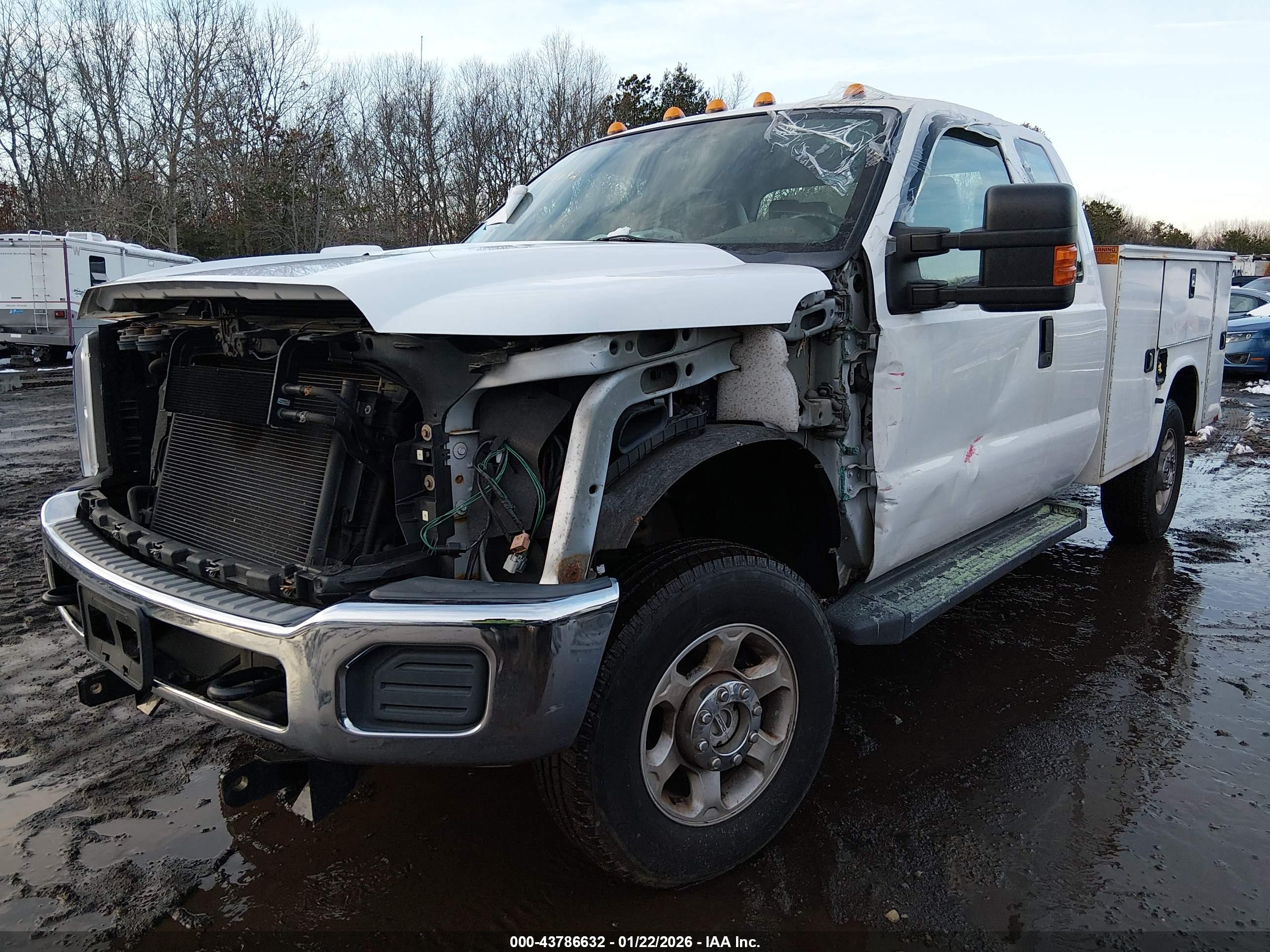 FORD F-250 image 2