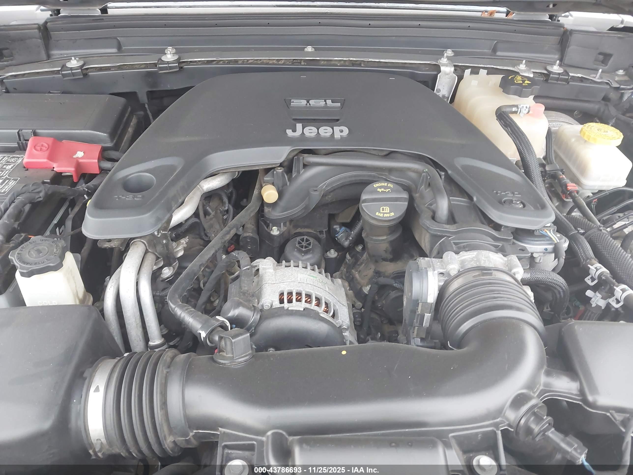 JEEP WRANGLER image 10