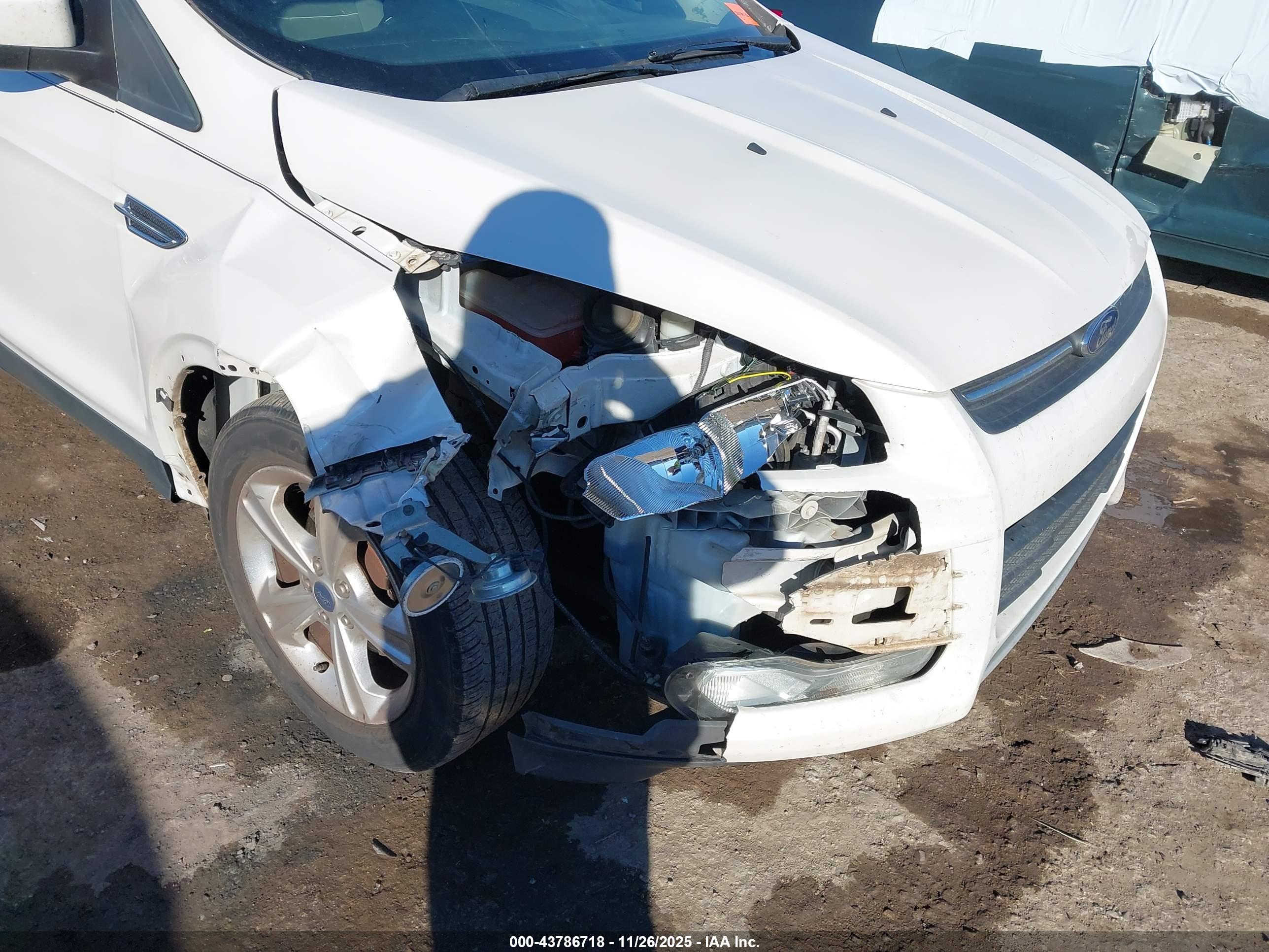 FORD ESCAPE image 6