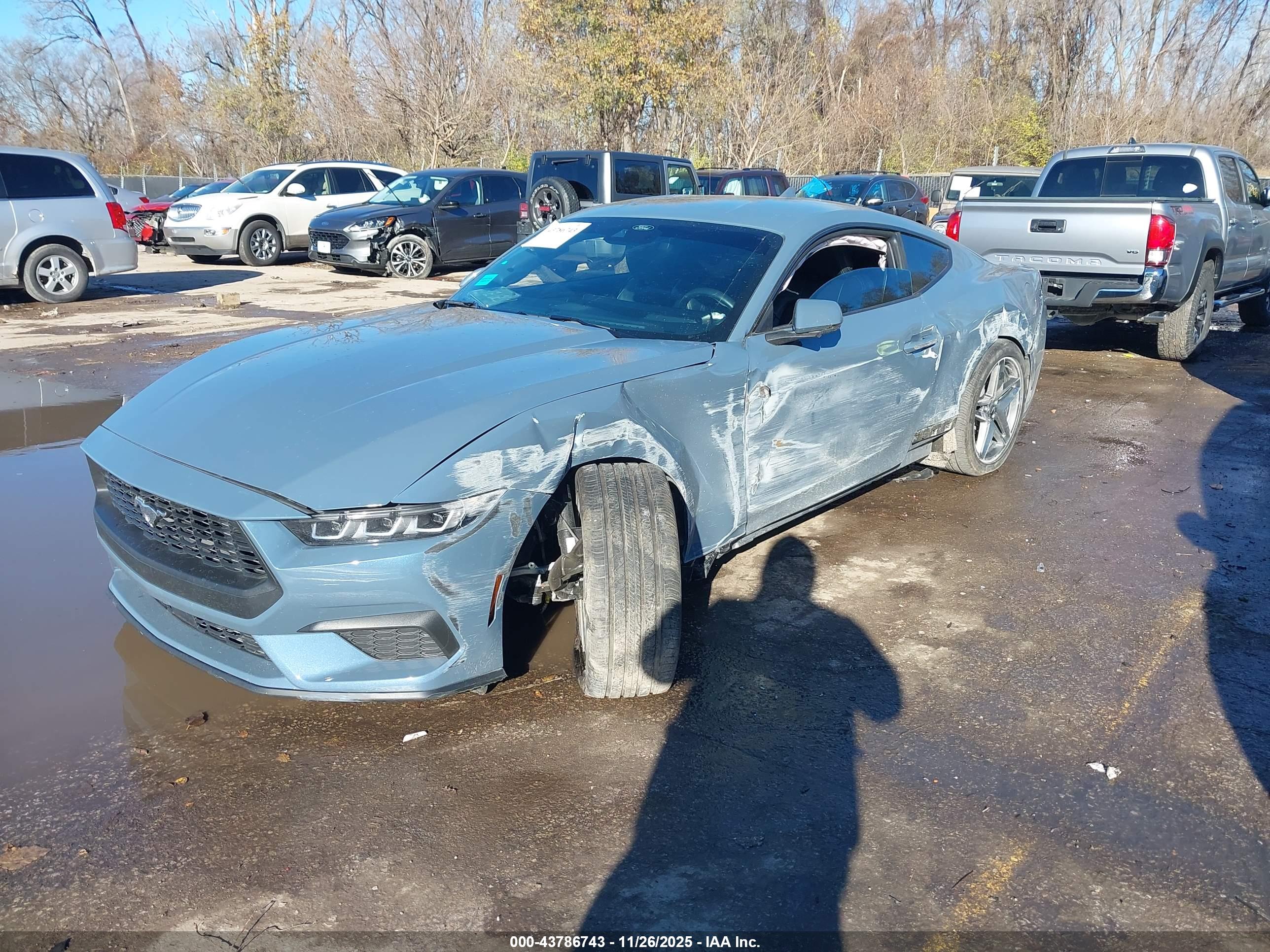 FORD MUSTANG image 2