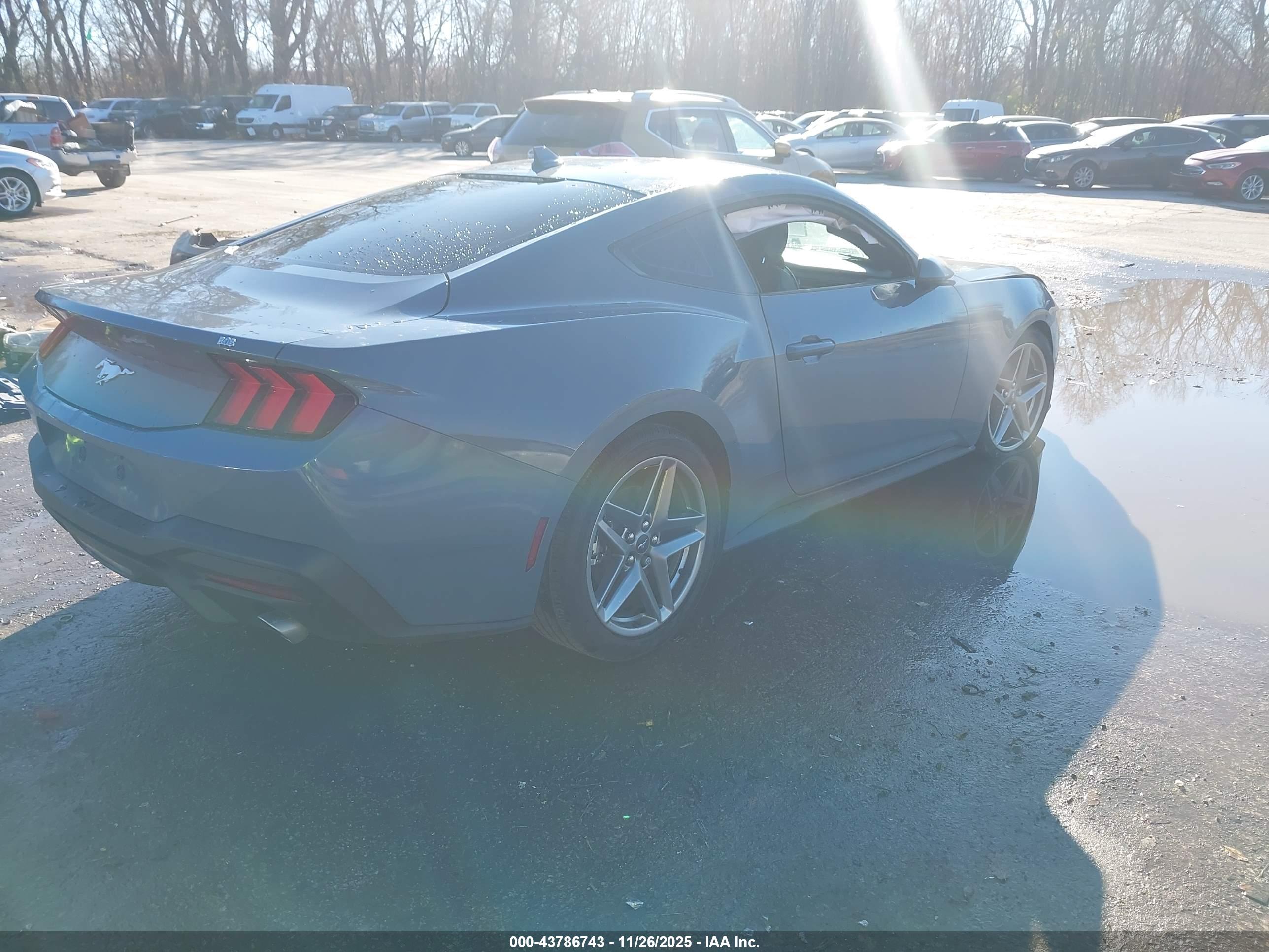 FORD MUSTANG image 4