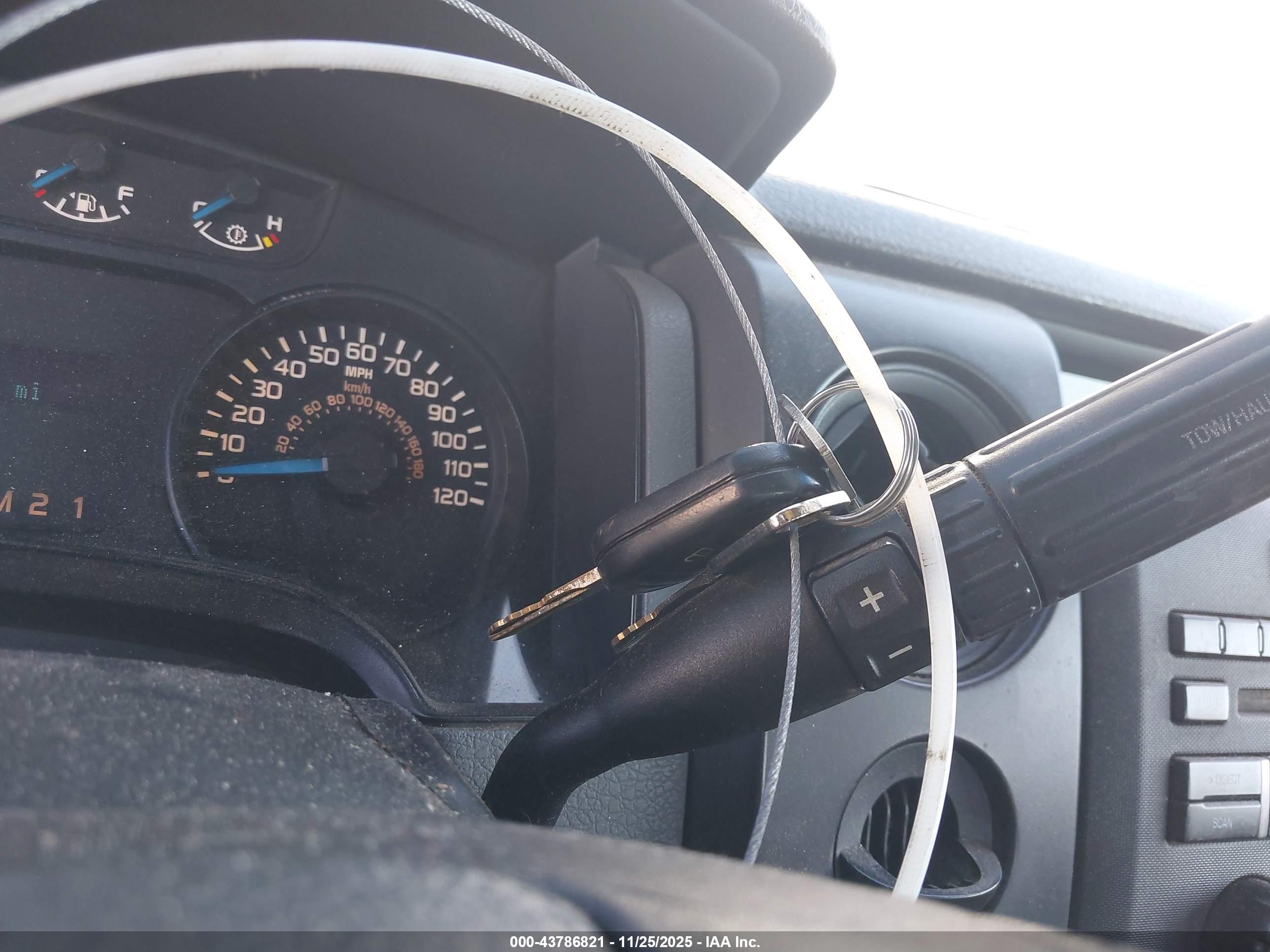 FORD F-150 image 11