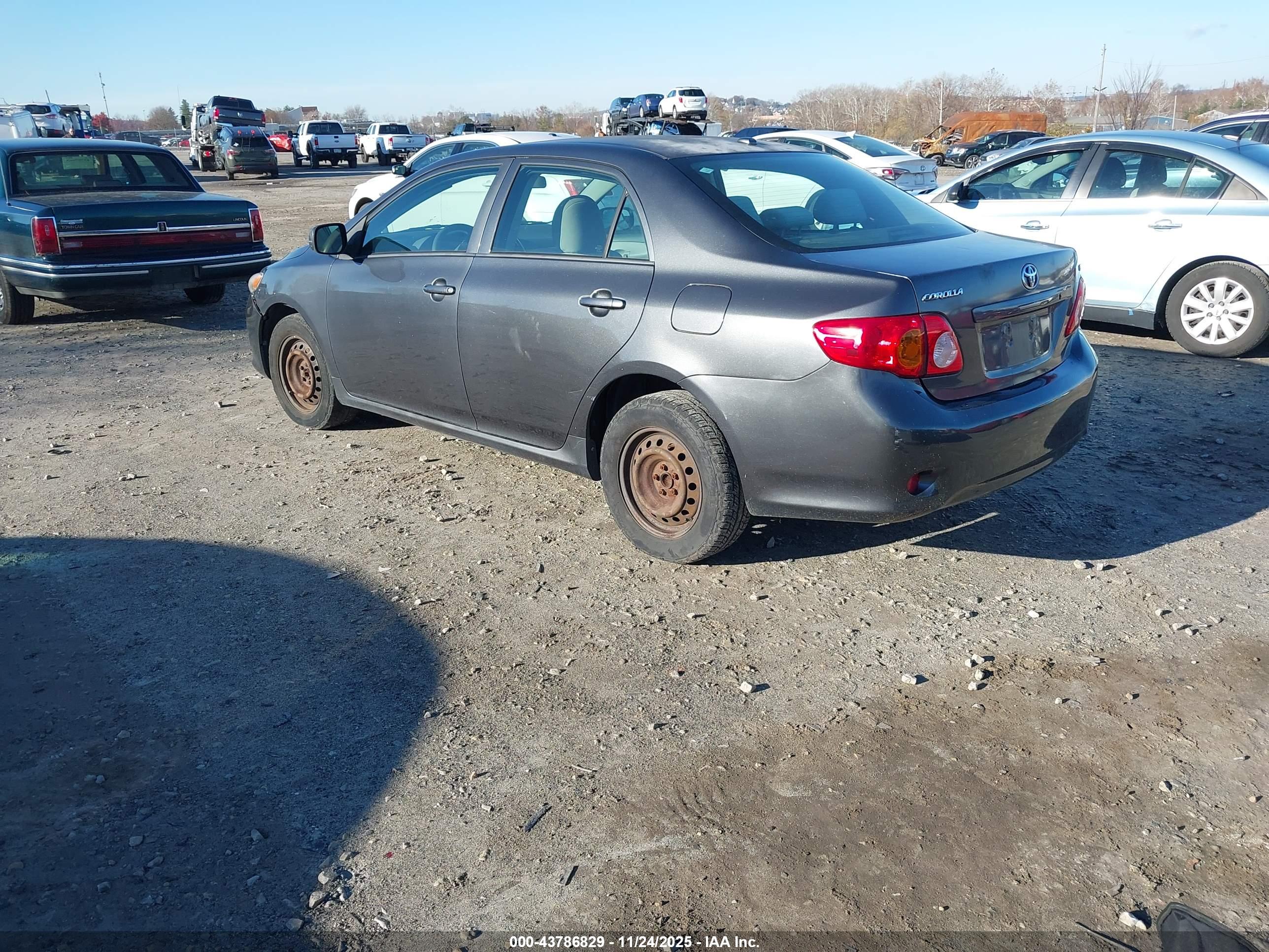 TOYOTA COROLLA image 3