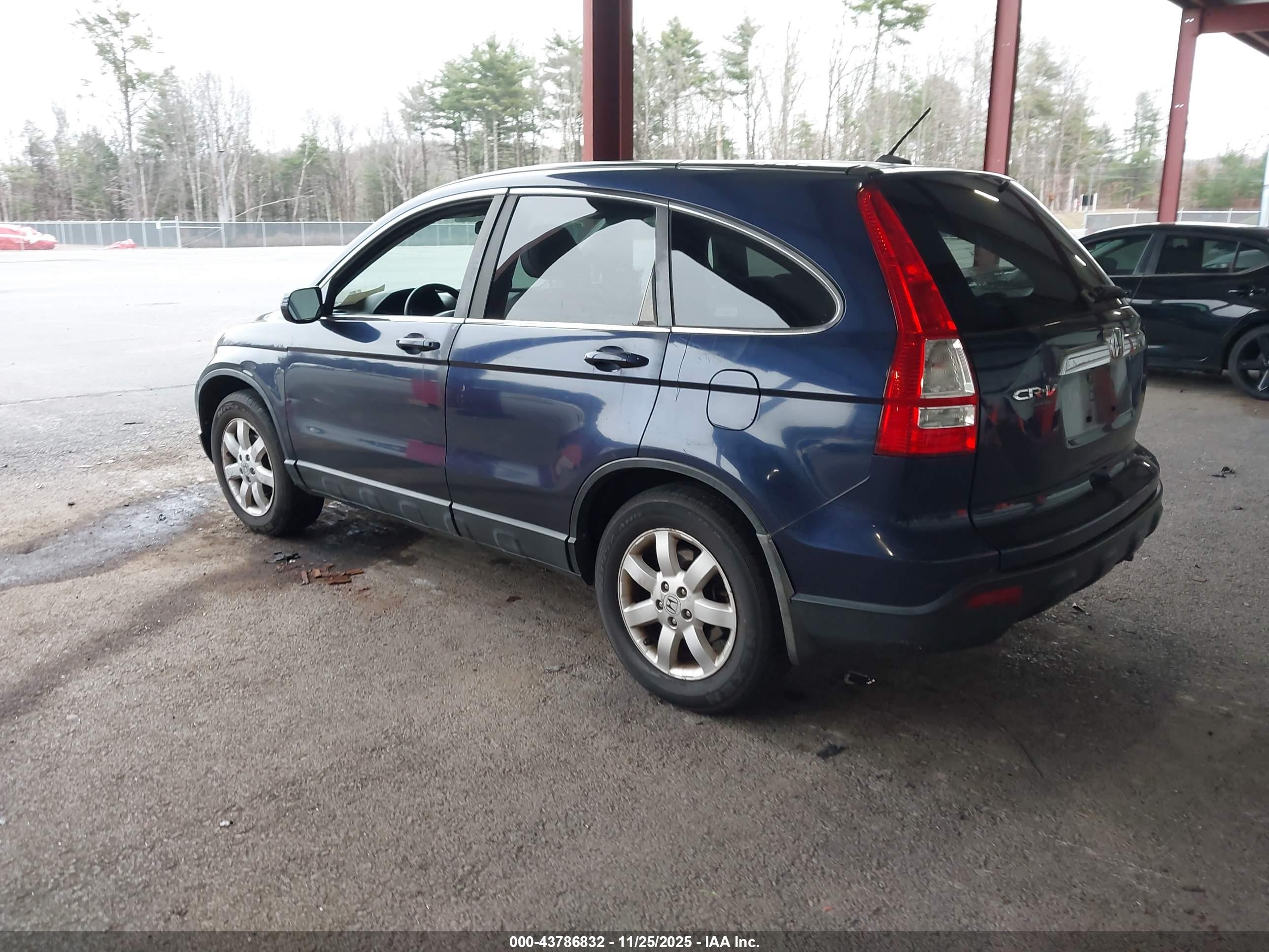 HONDA CR-V image 3