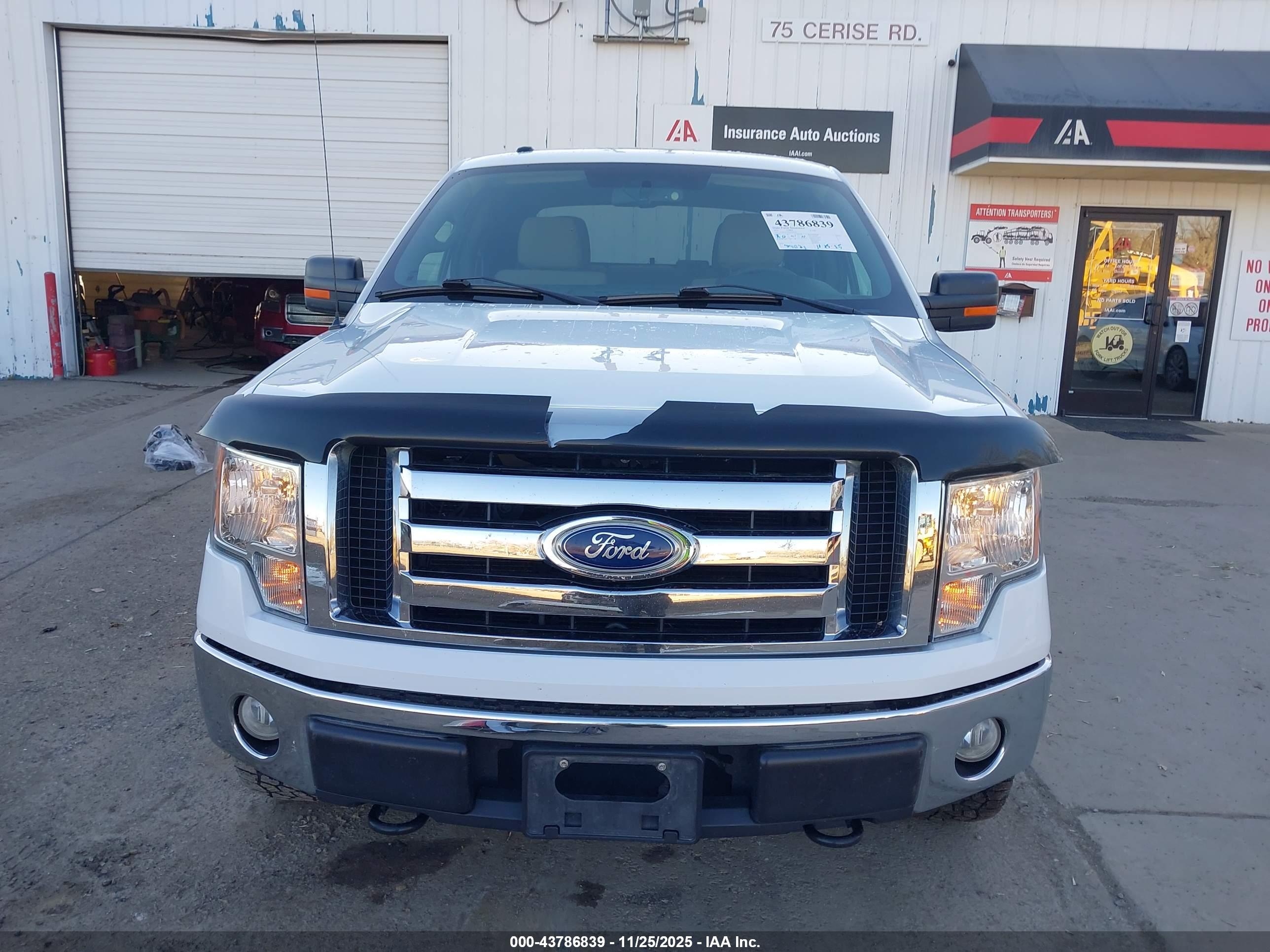 FORD F-150 image 6