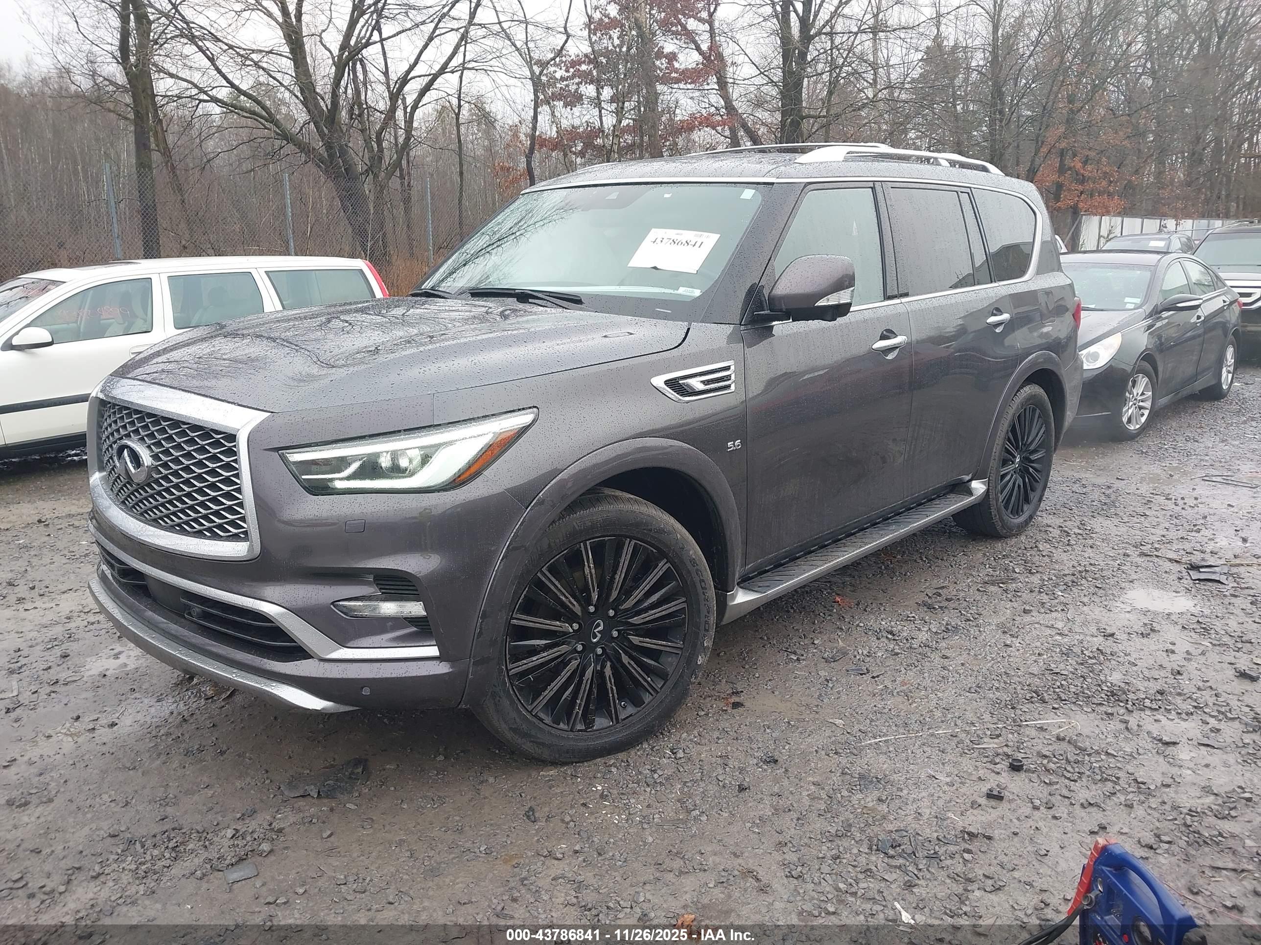 INFINITI QX80 image 2