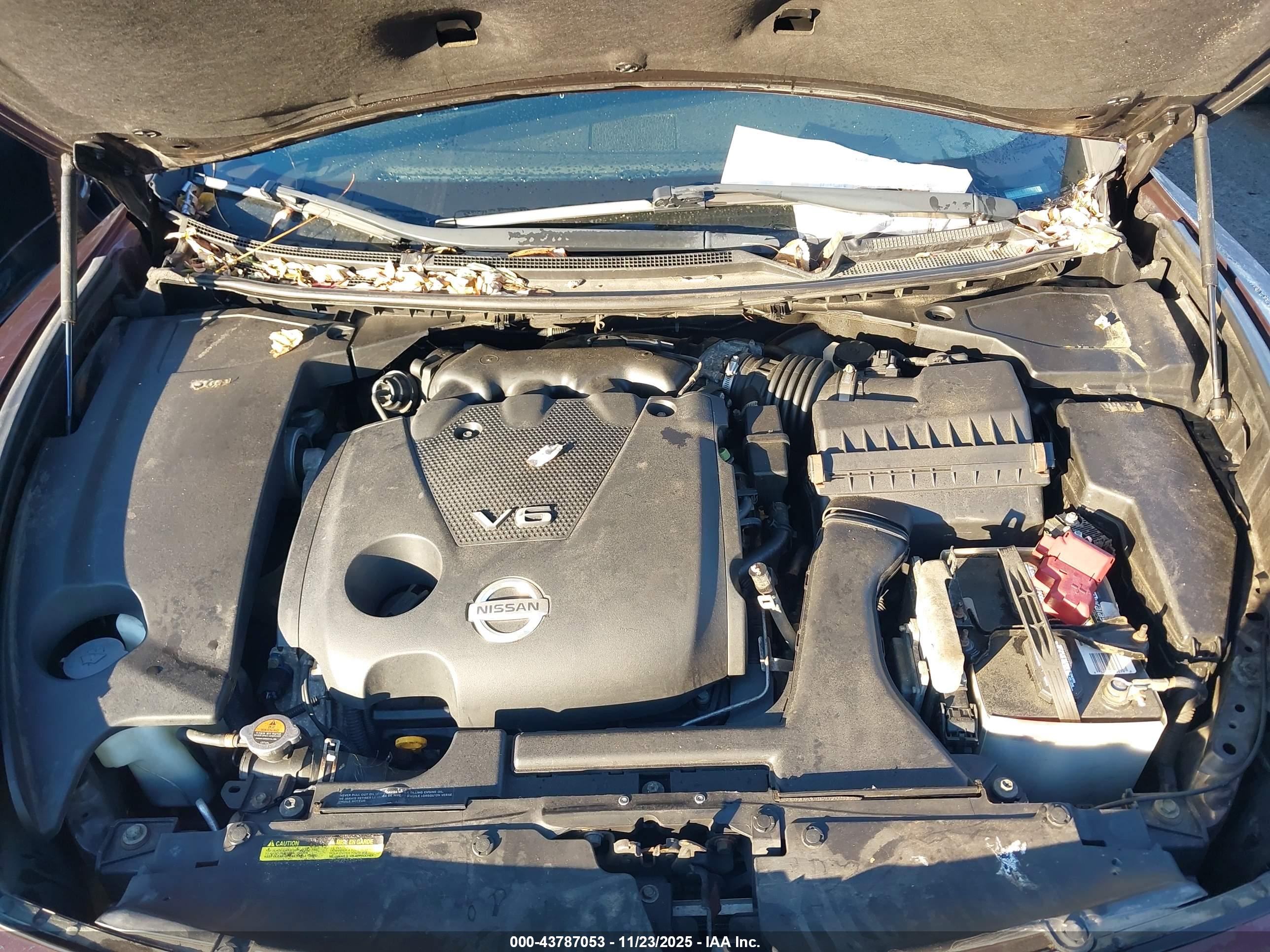 NISSAN MAXIMA image 10
