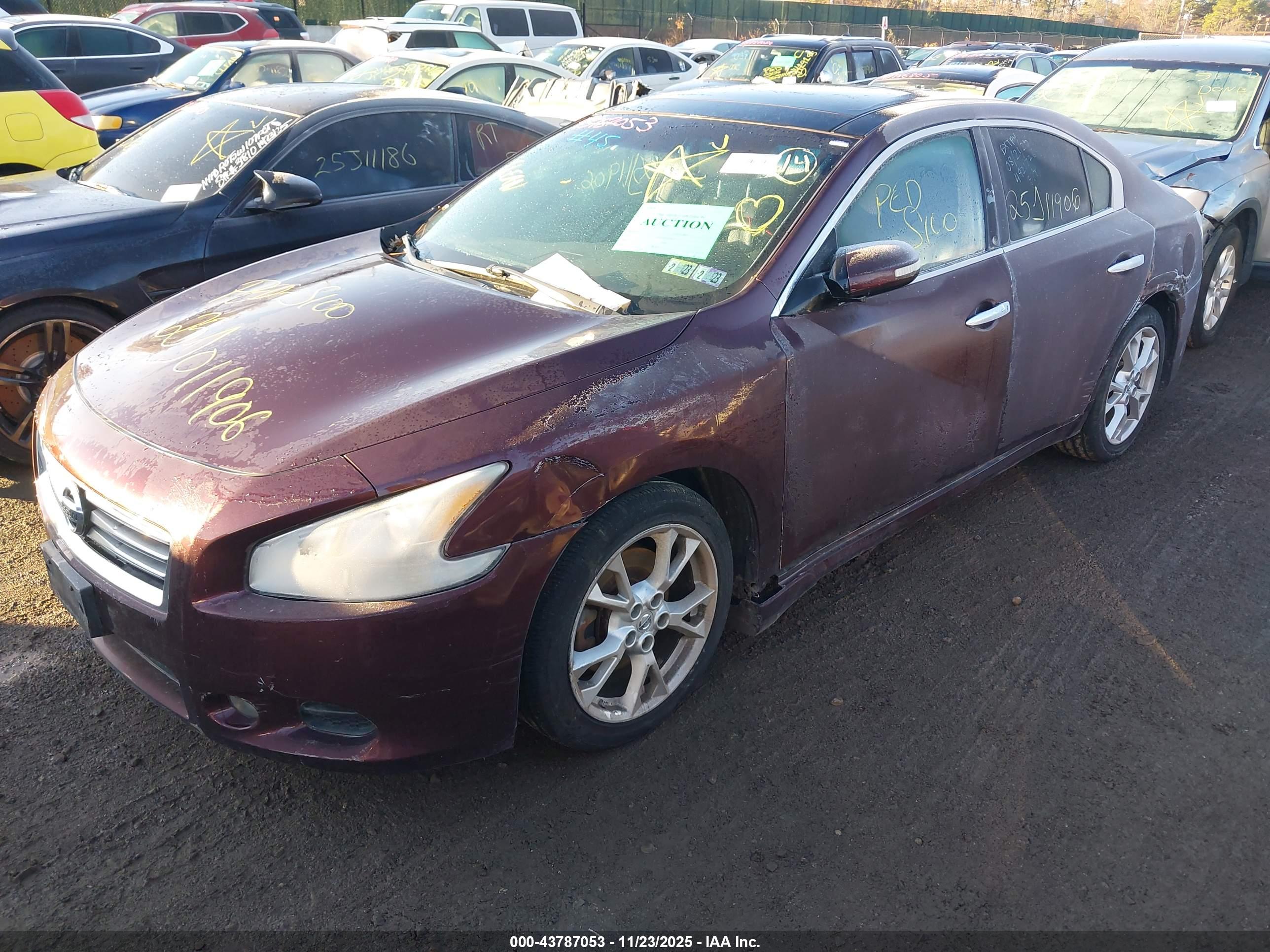 NISSAN MAXIMA image 2