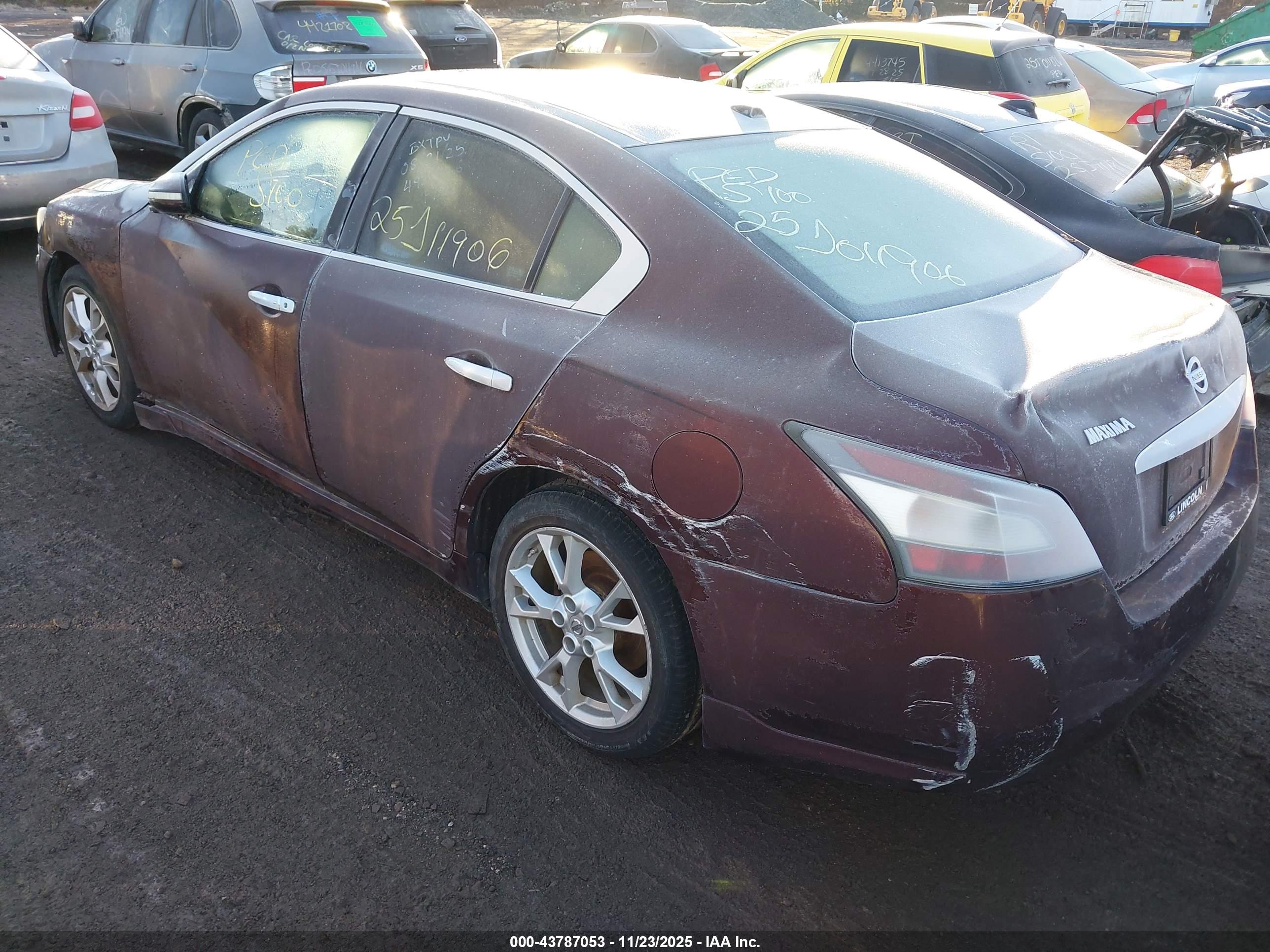 NISSAN MAXIMA image 3