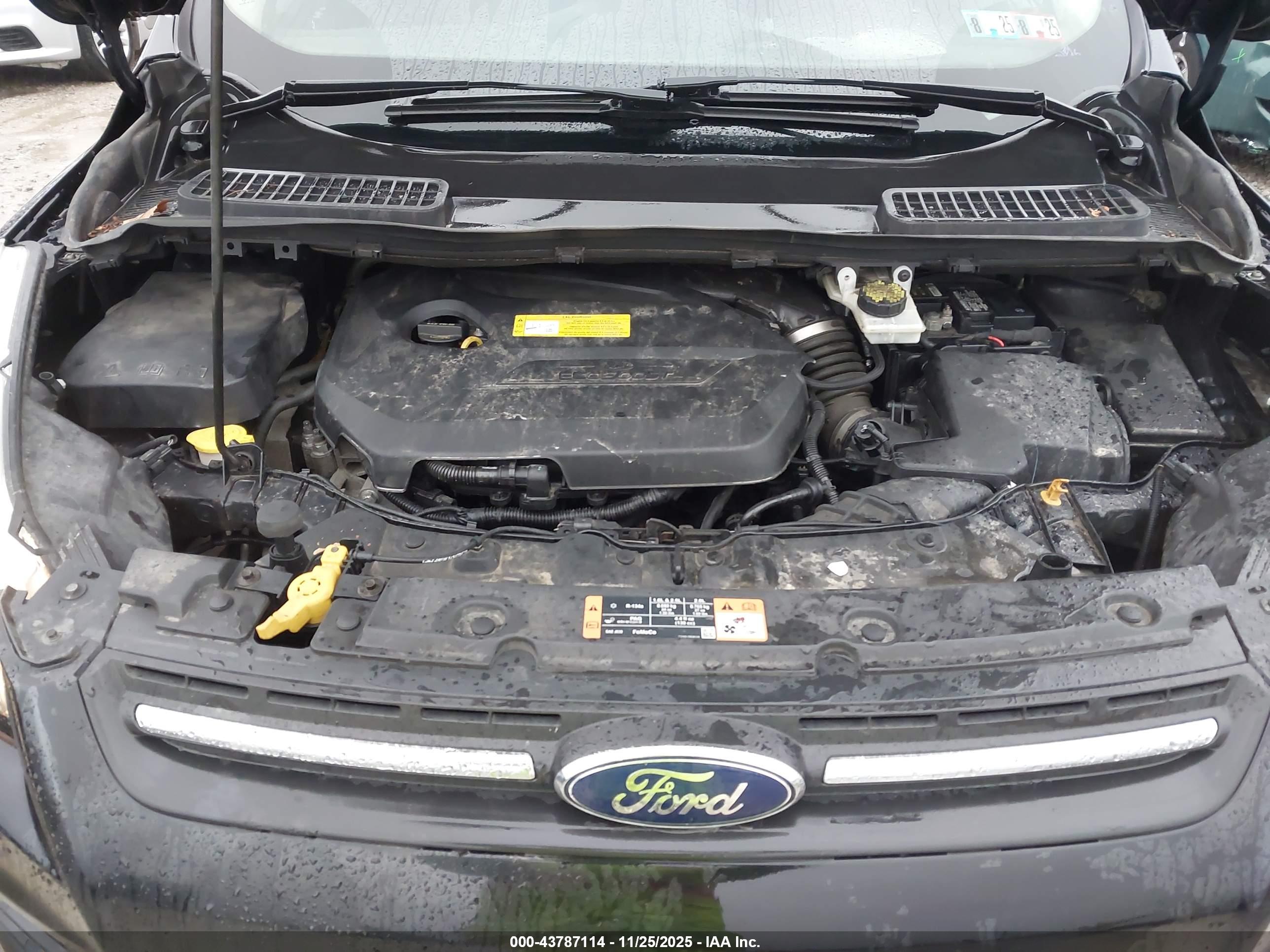 FORD ESCAPE image 10