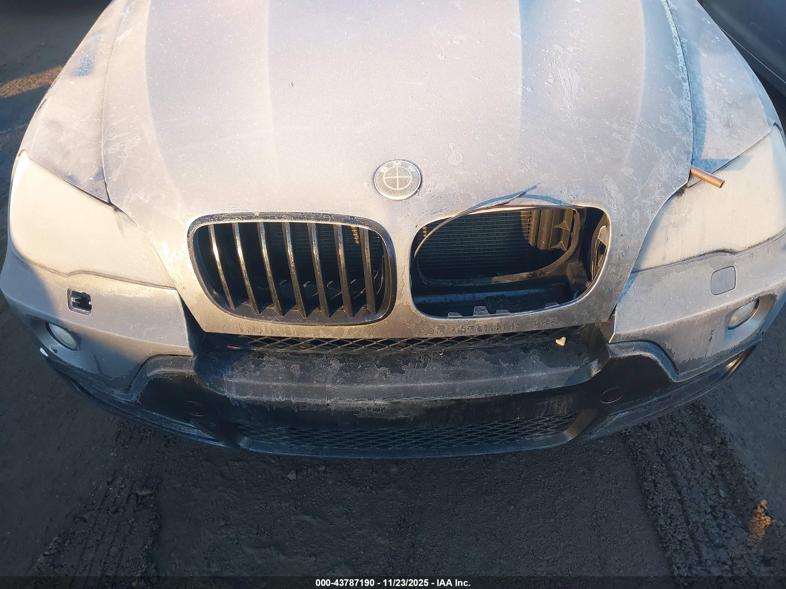 BMW X5 image 10