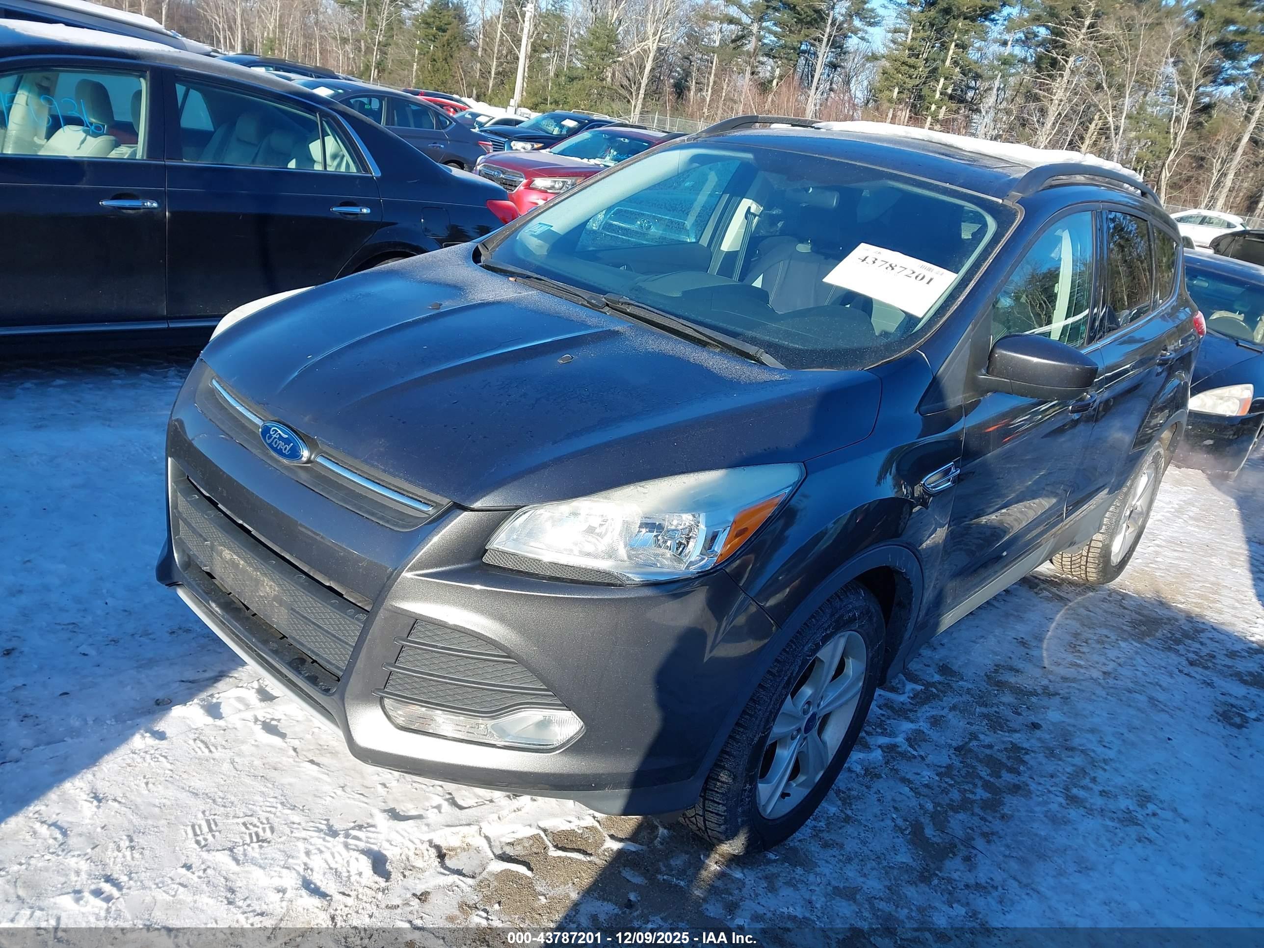 FORD ESCAPE image 2