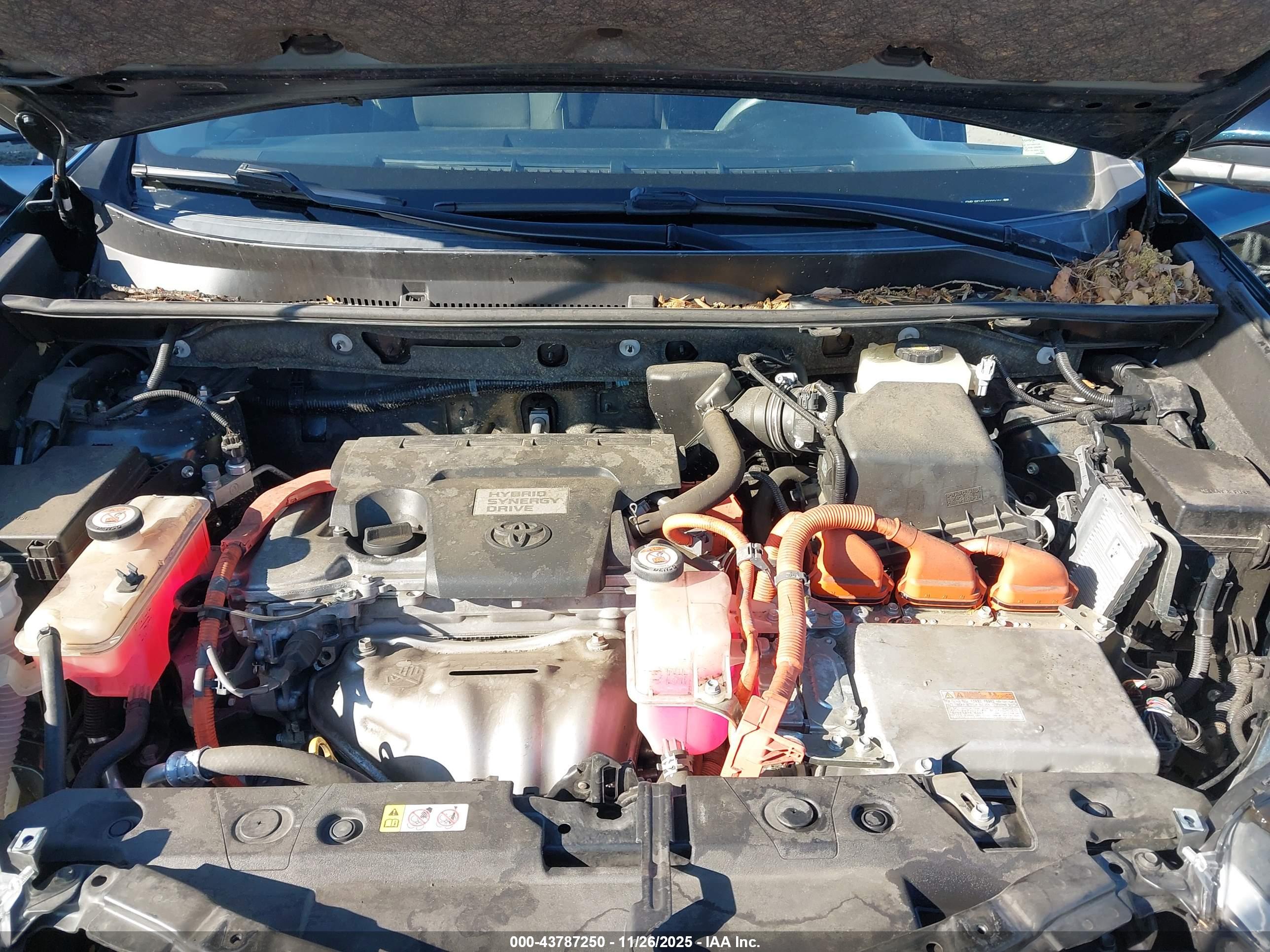 TOYOTA RAV4 image 10