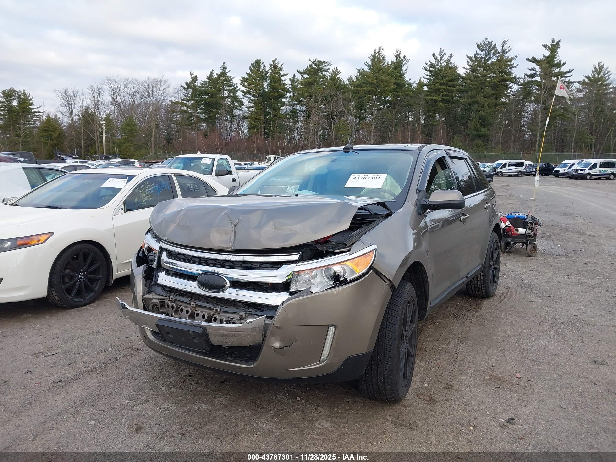 FORD EDGE image 2
