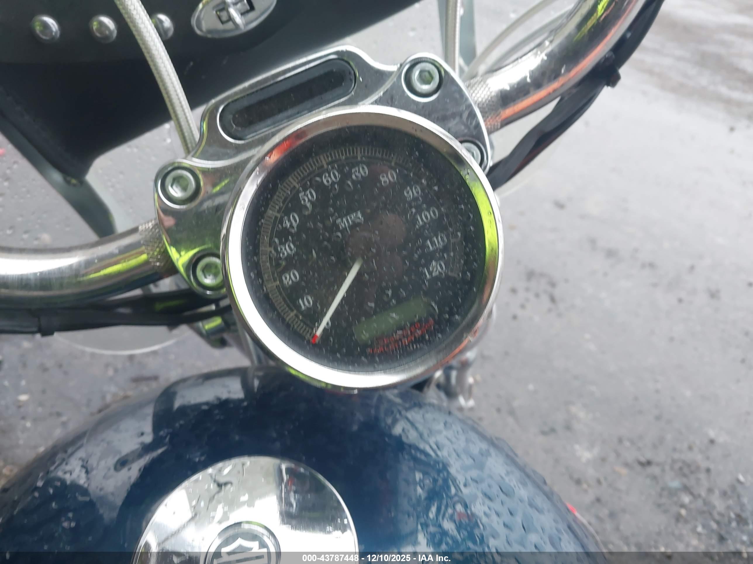 HARLEY-DAVIDSON XL883 image 7