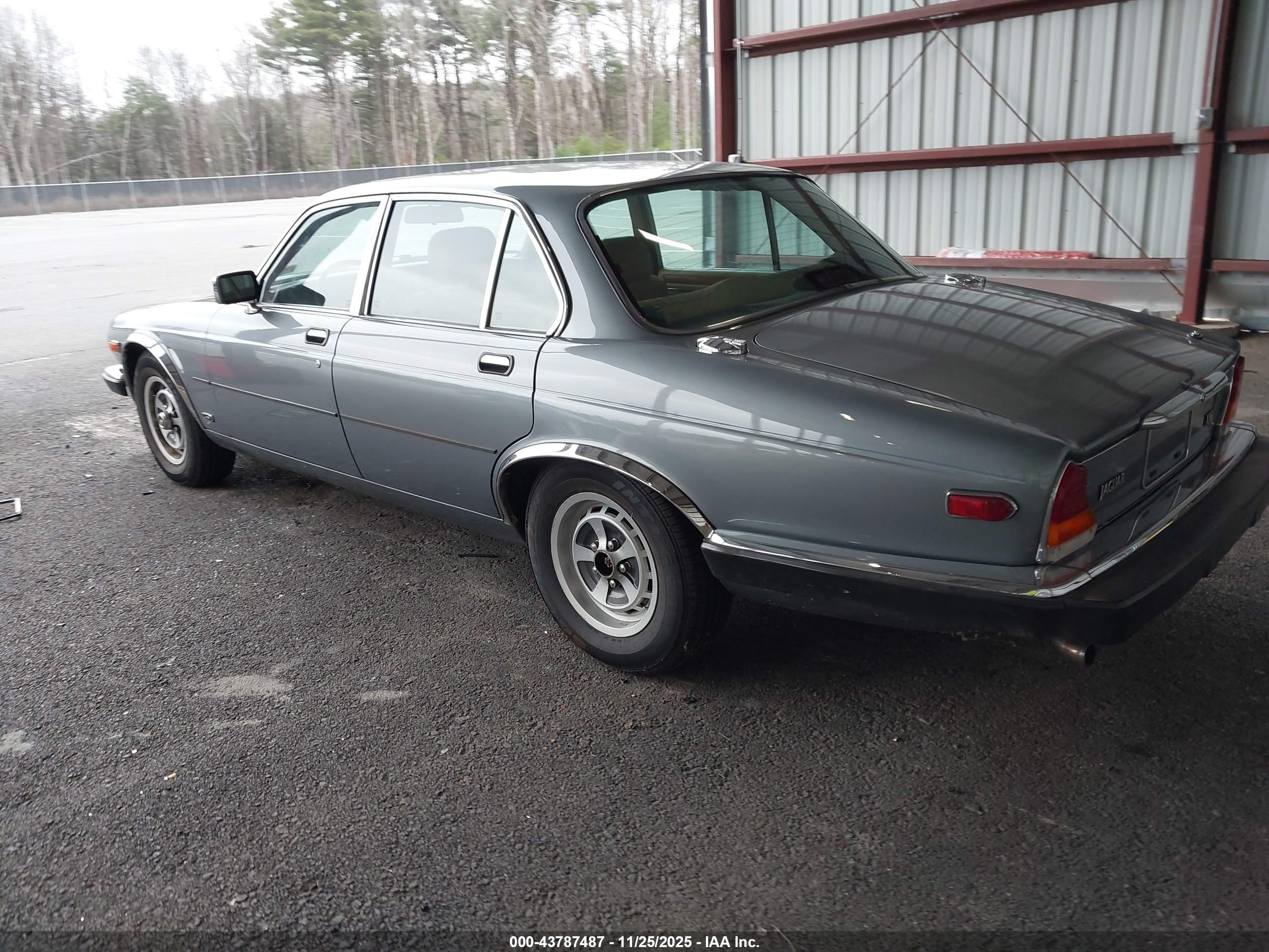 JAGUAR XJ6 image 3