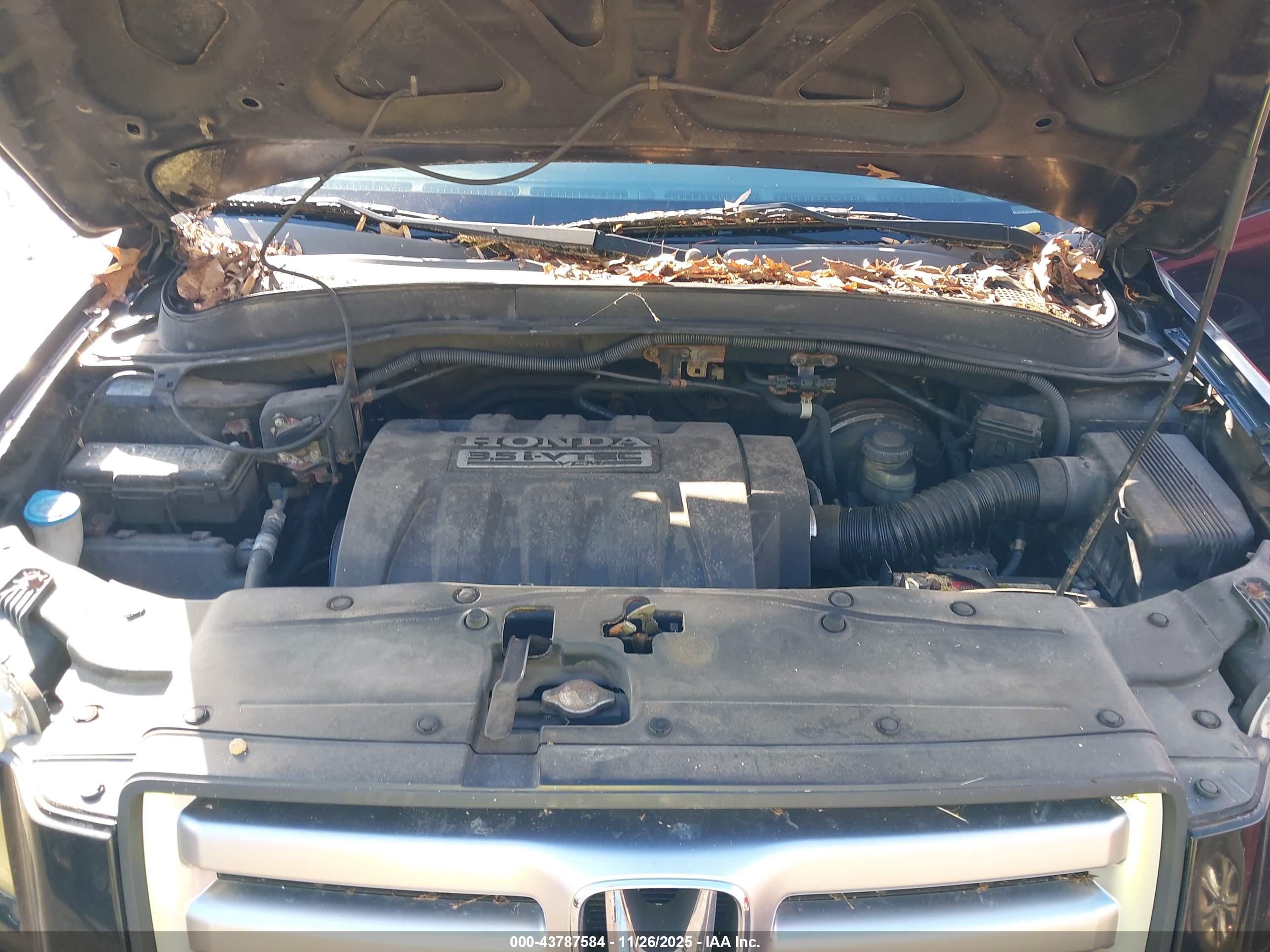 HONDA PILOT image 10