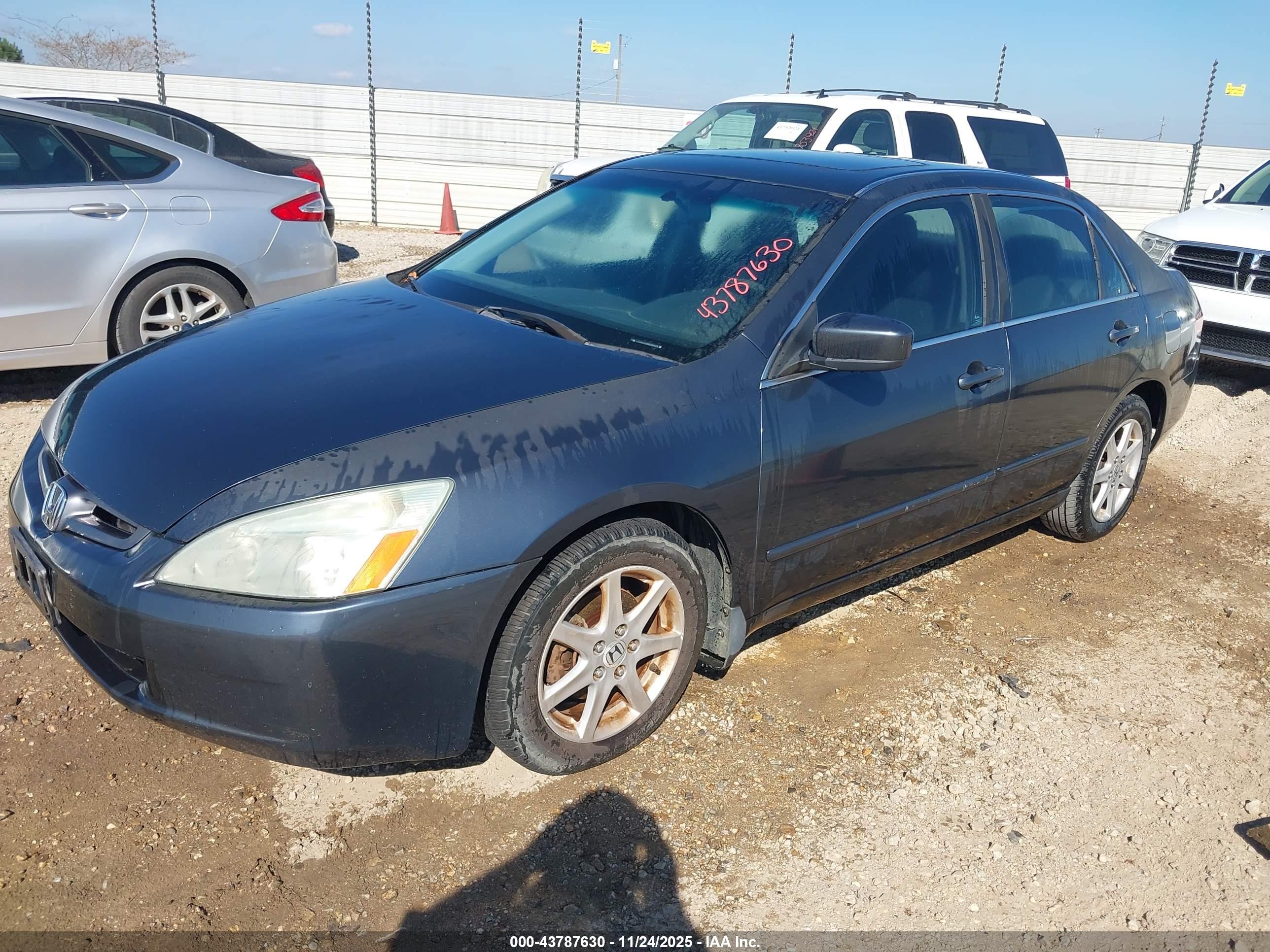 HONDA ACCORD image 2