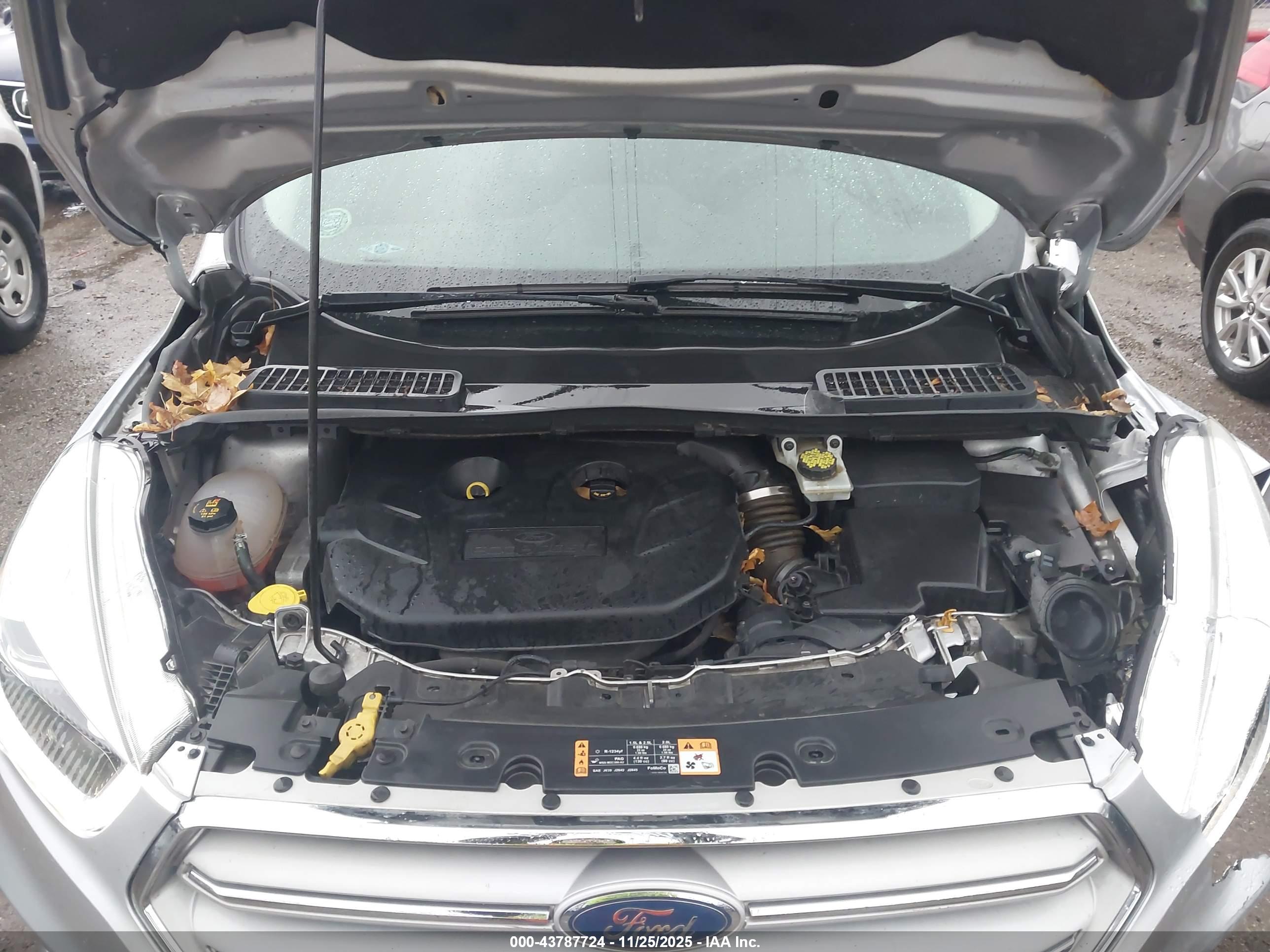 FORD ESCAPE image 10