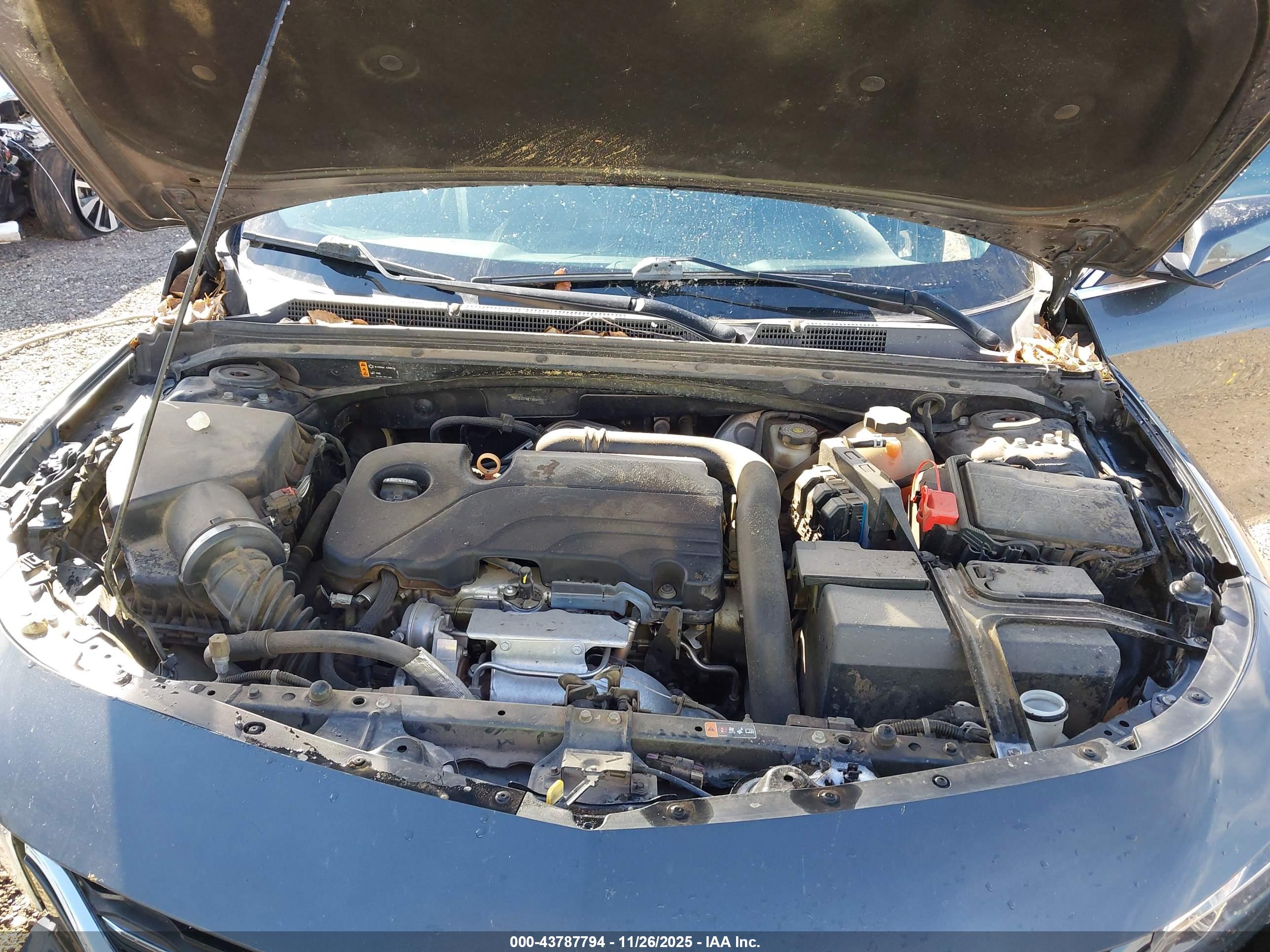 CHEVROLET MALIBU image 10