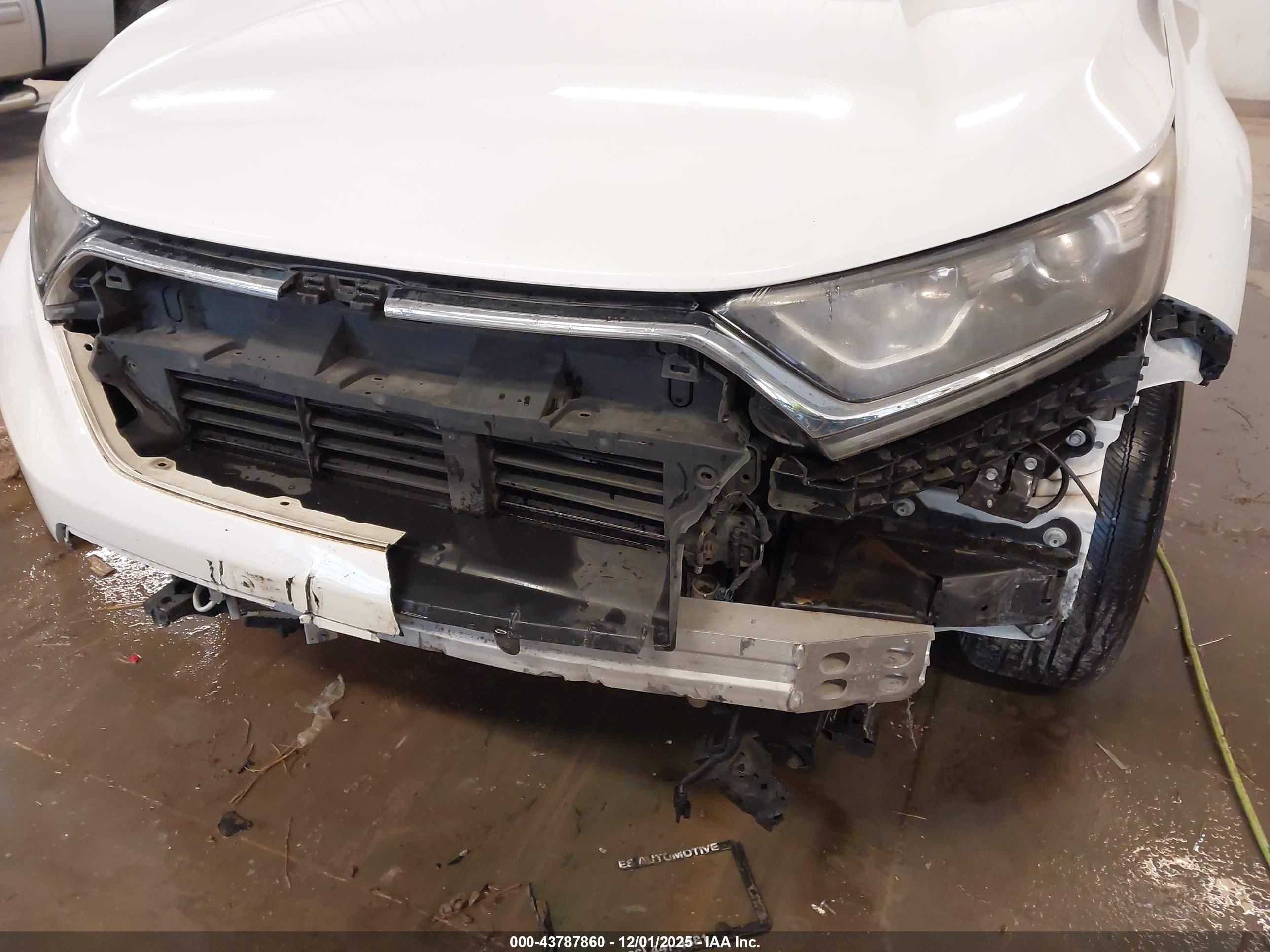 HONDA CR-V image 6