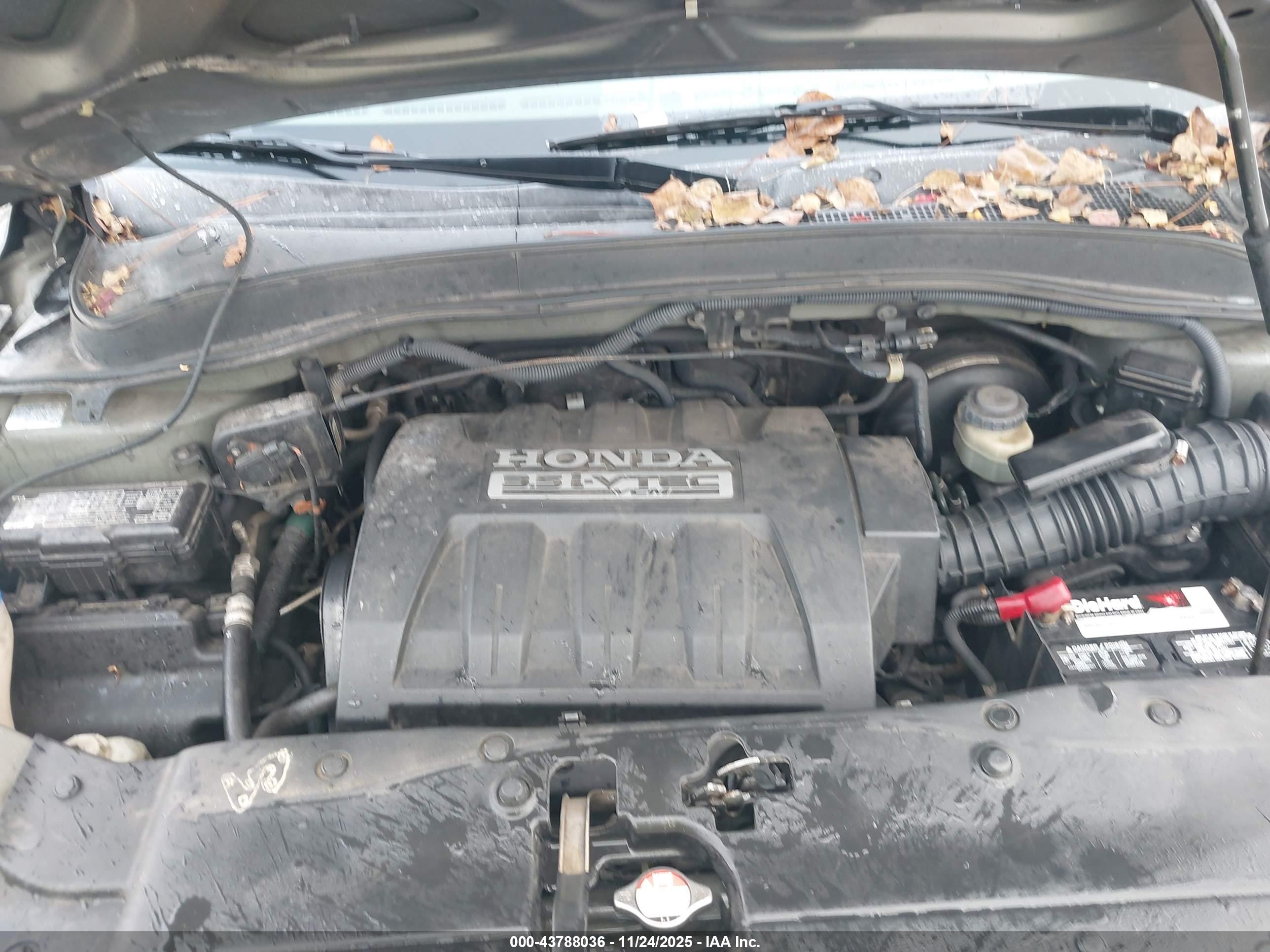 HONDA PILOT image 10