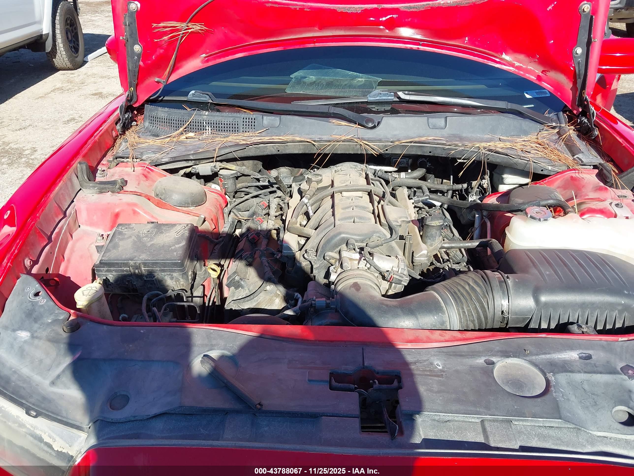 DODGE CHARGER image 10
