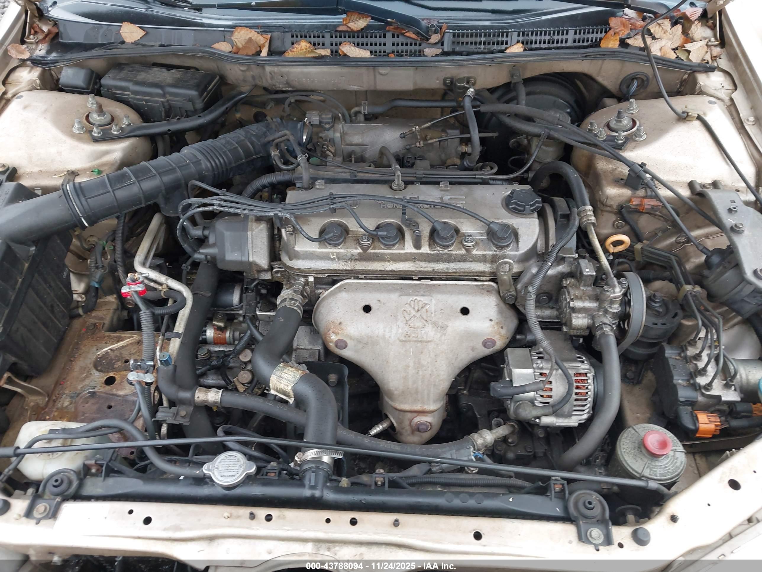 HONDA ACCORD image 10