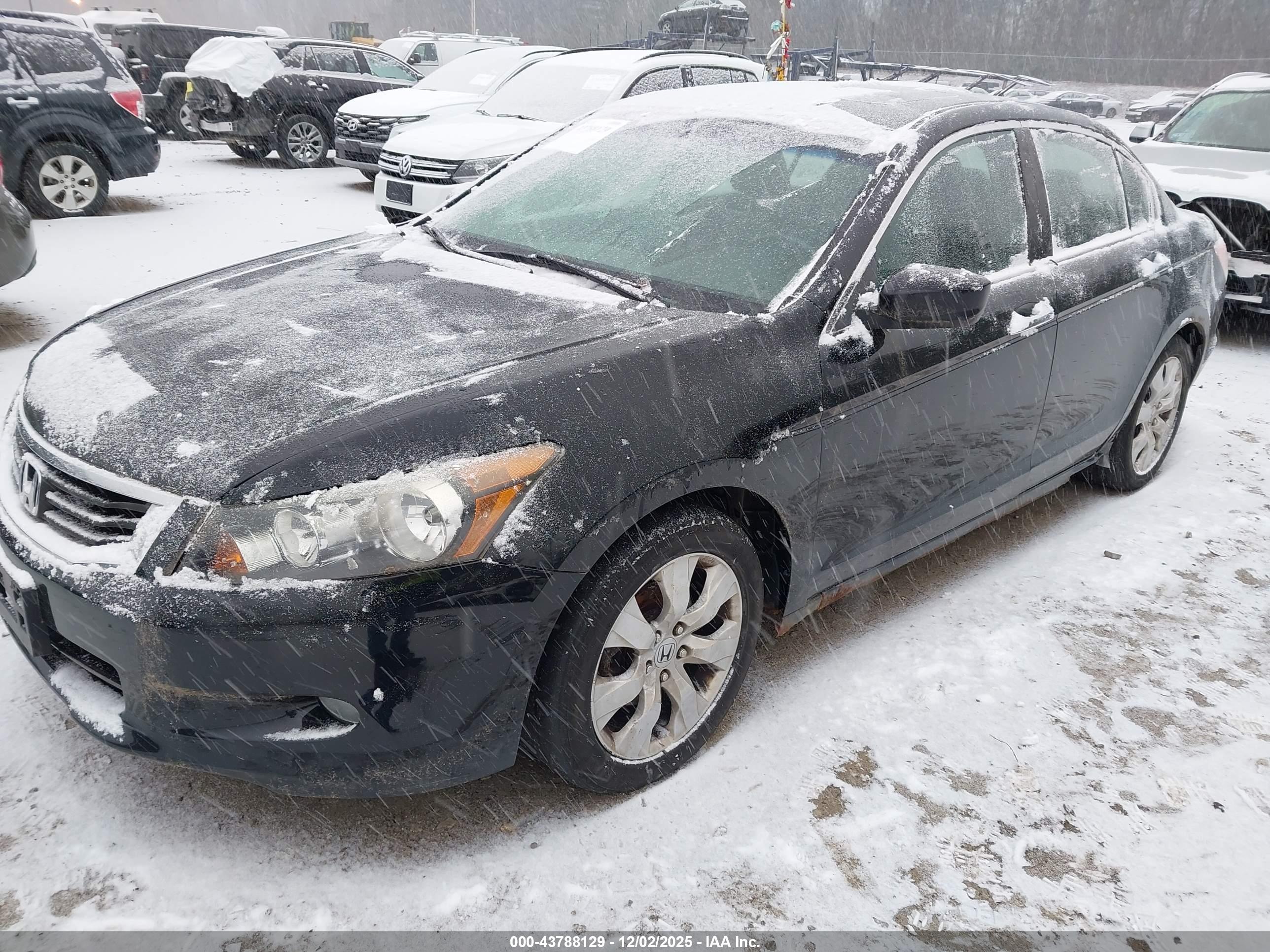 HONDA ACCORD image 2