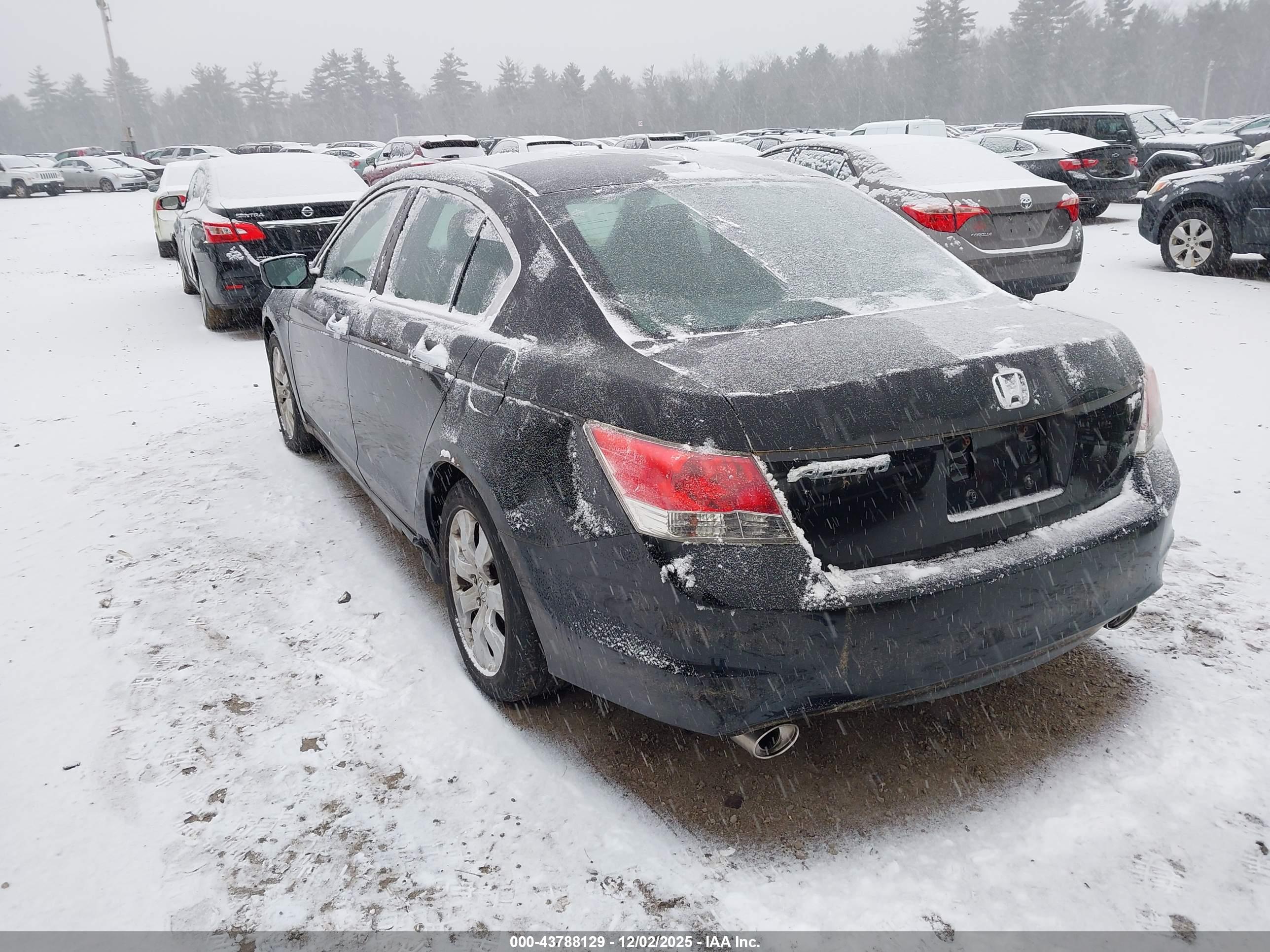 HONDA ACCORD image 3