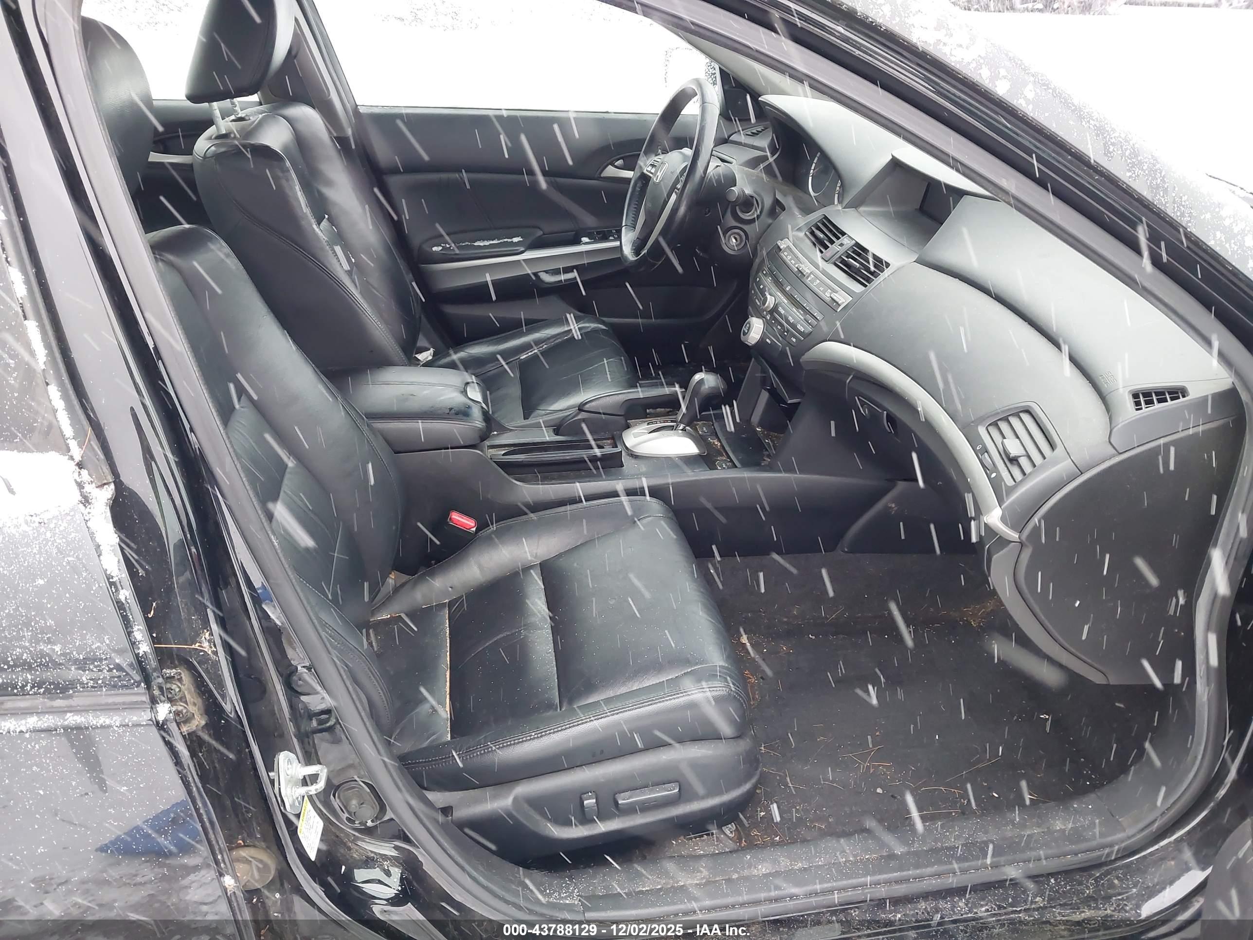 HONDA ACCORD image 5