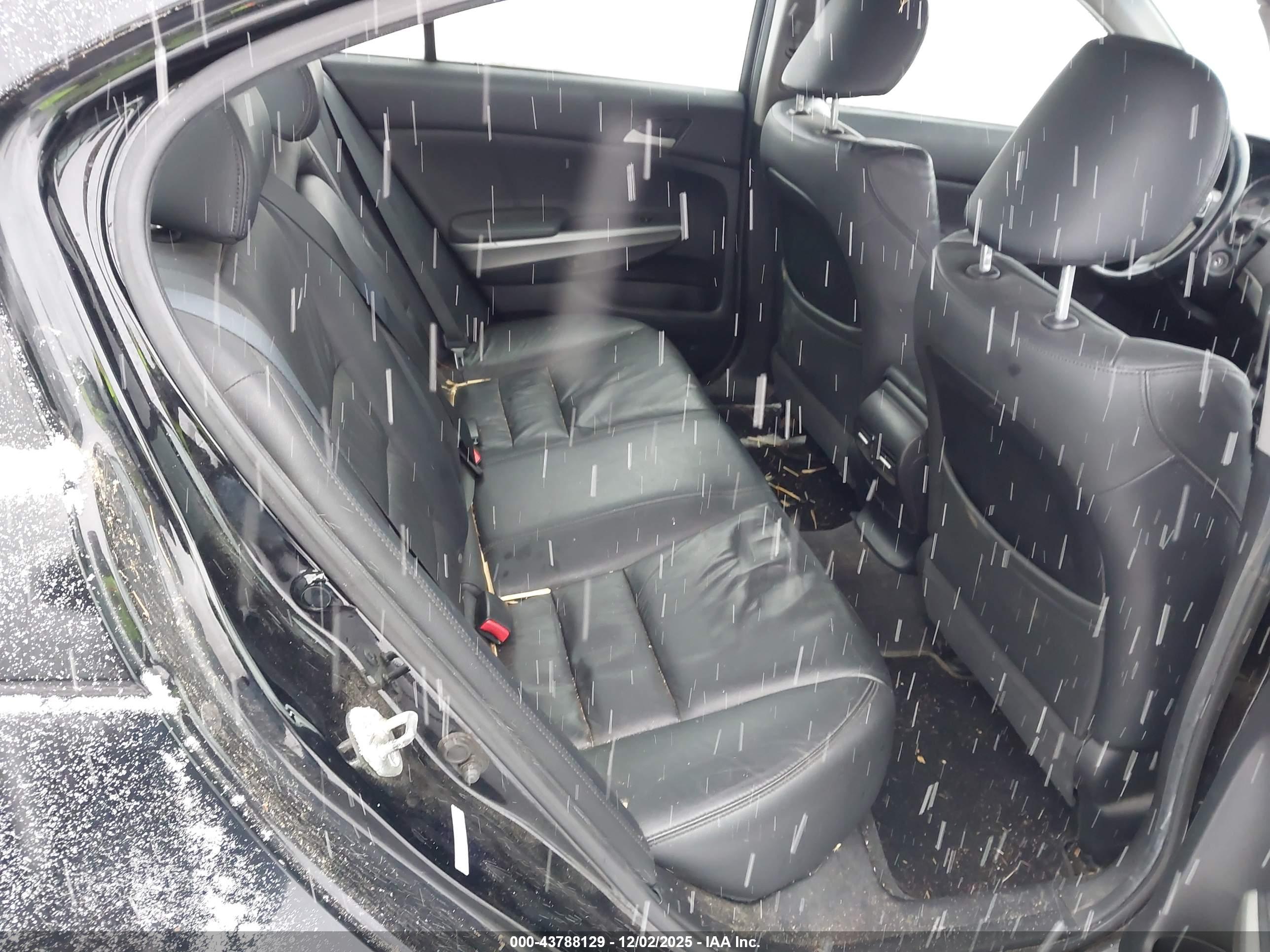 HONDA ACCORD image 8