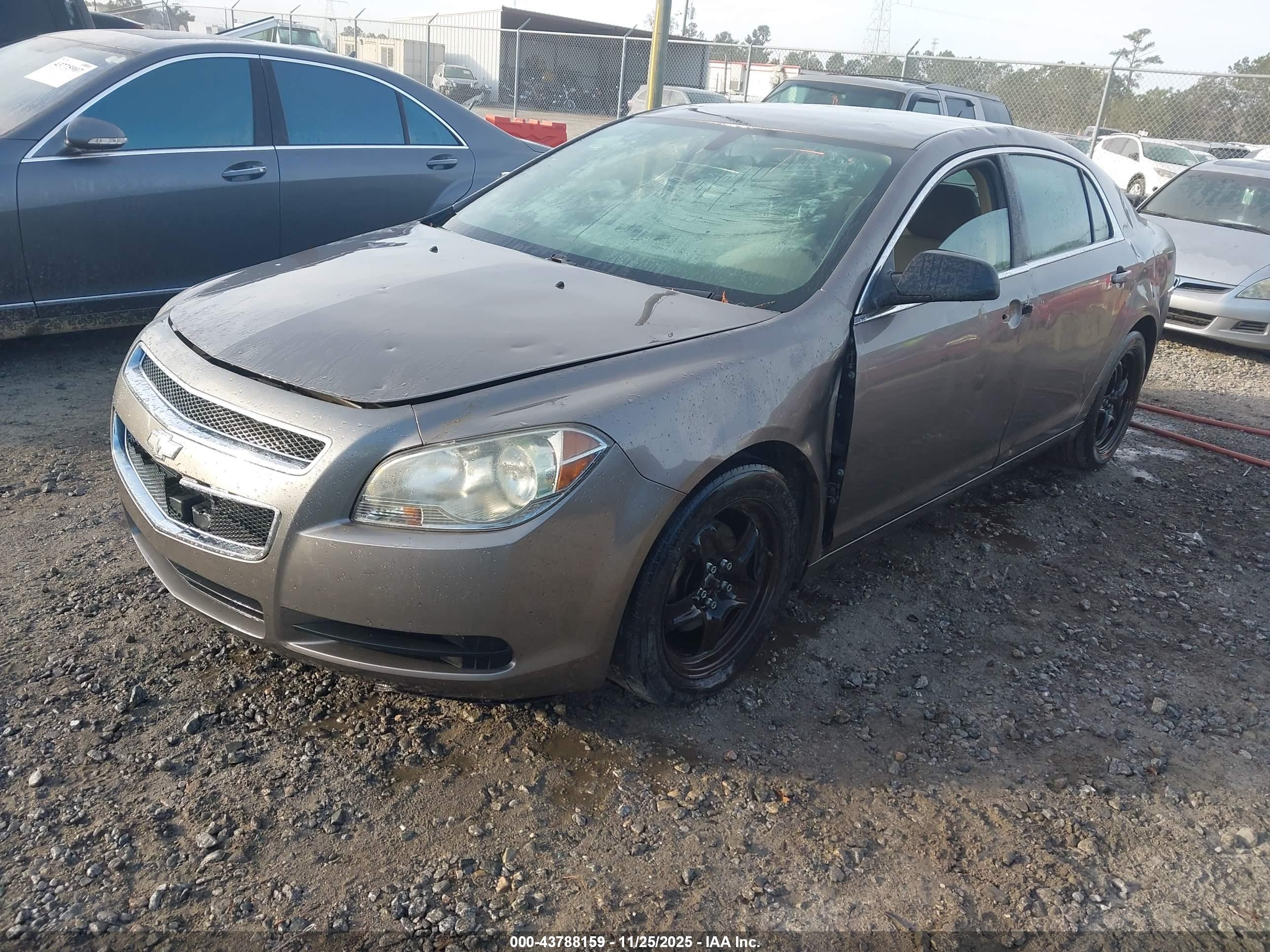 CHEVROLET MALIBU image 2