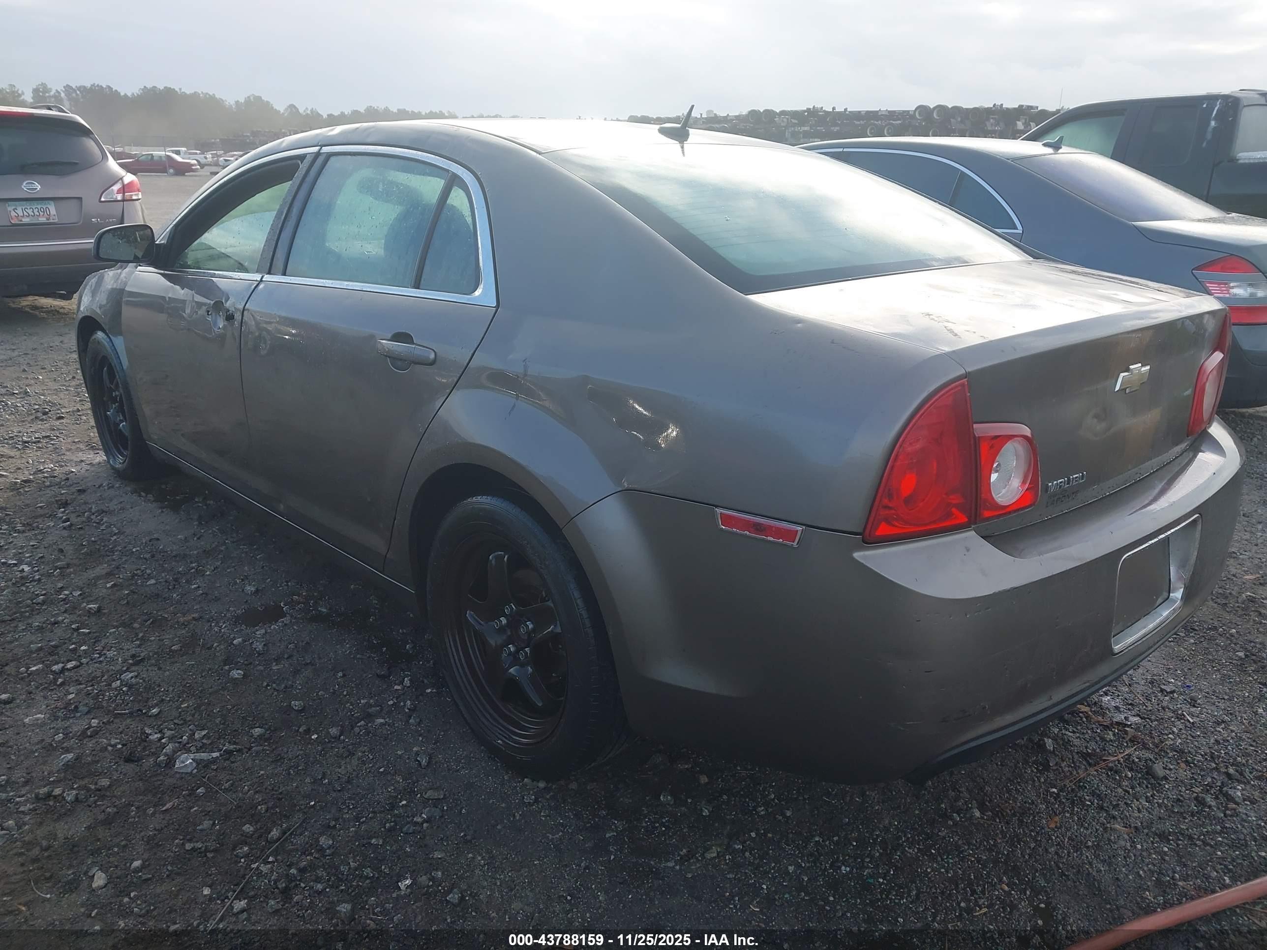 CHEVROLET MALIBU image 3