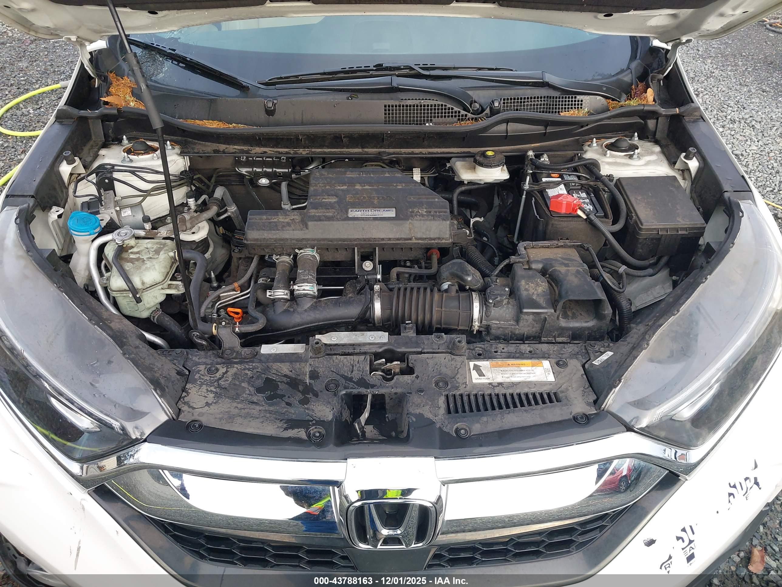 HONDA CR-V image 10