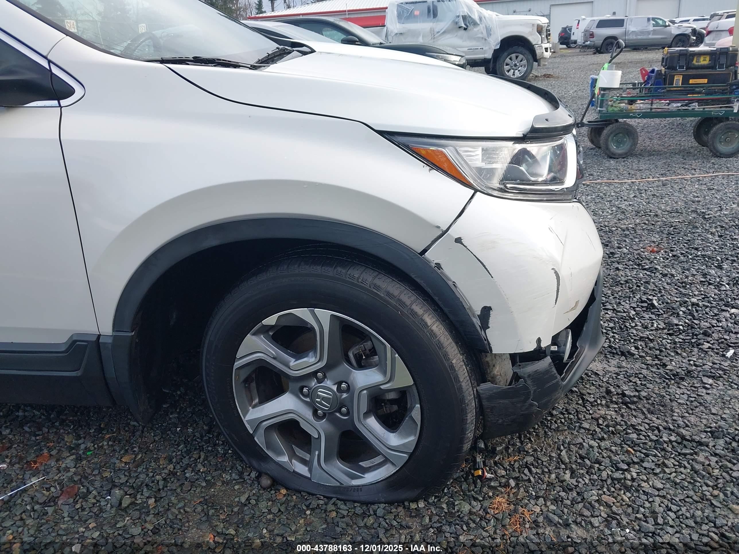 HONDA CR-V image 6