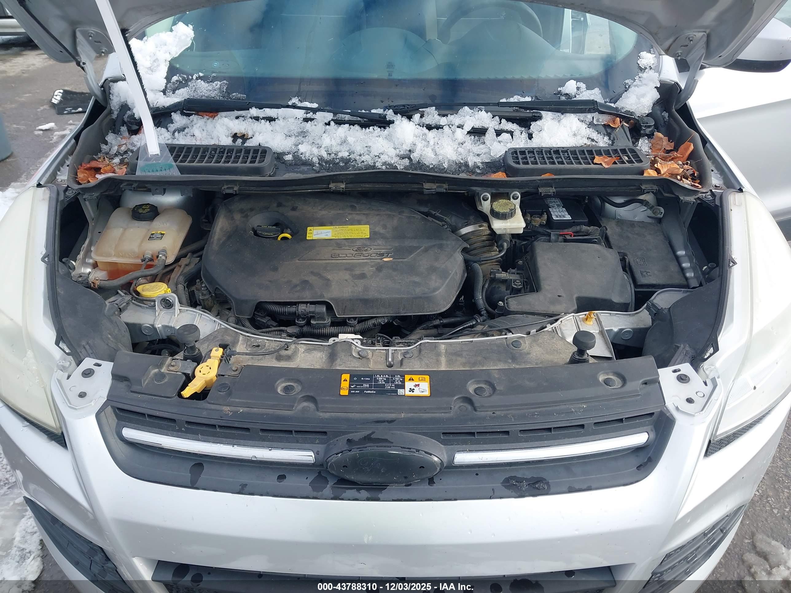 FORD ESCAPE image 10