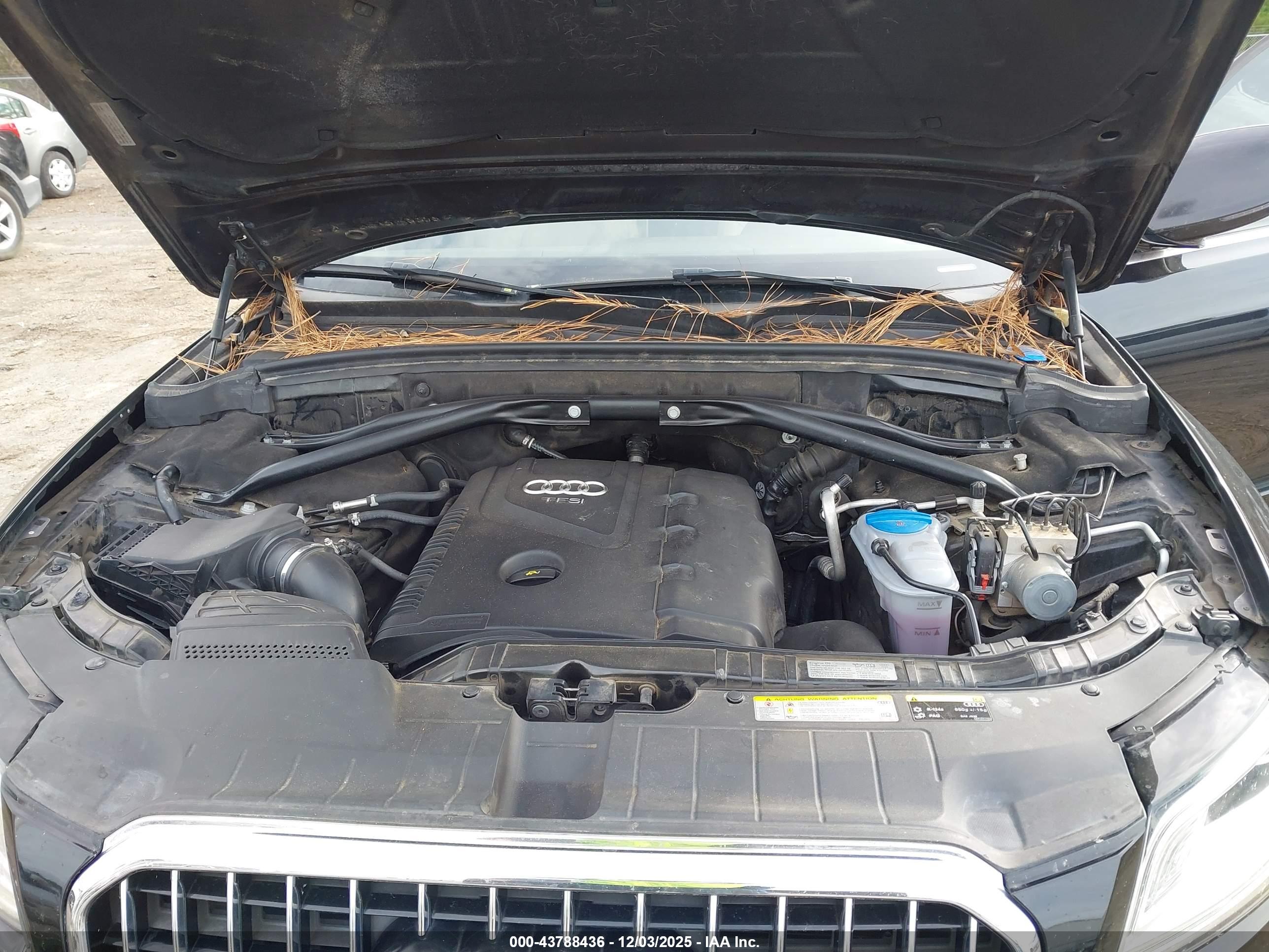 AUDI Q5 image 10